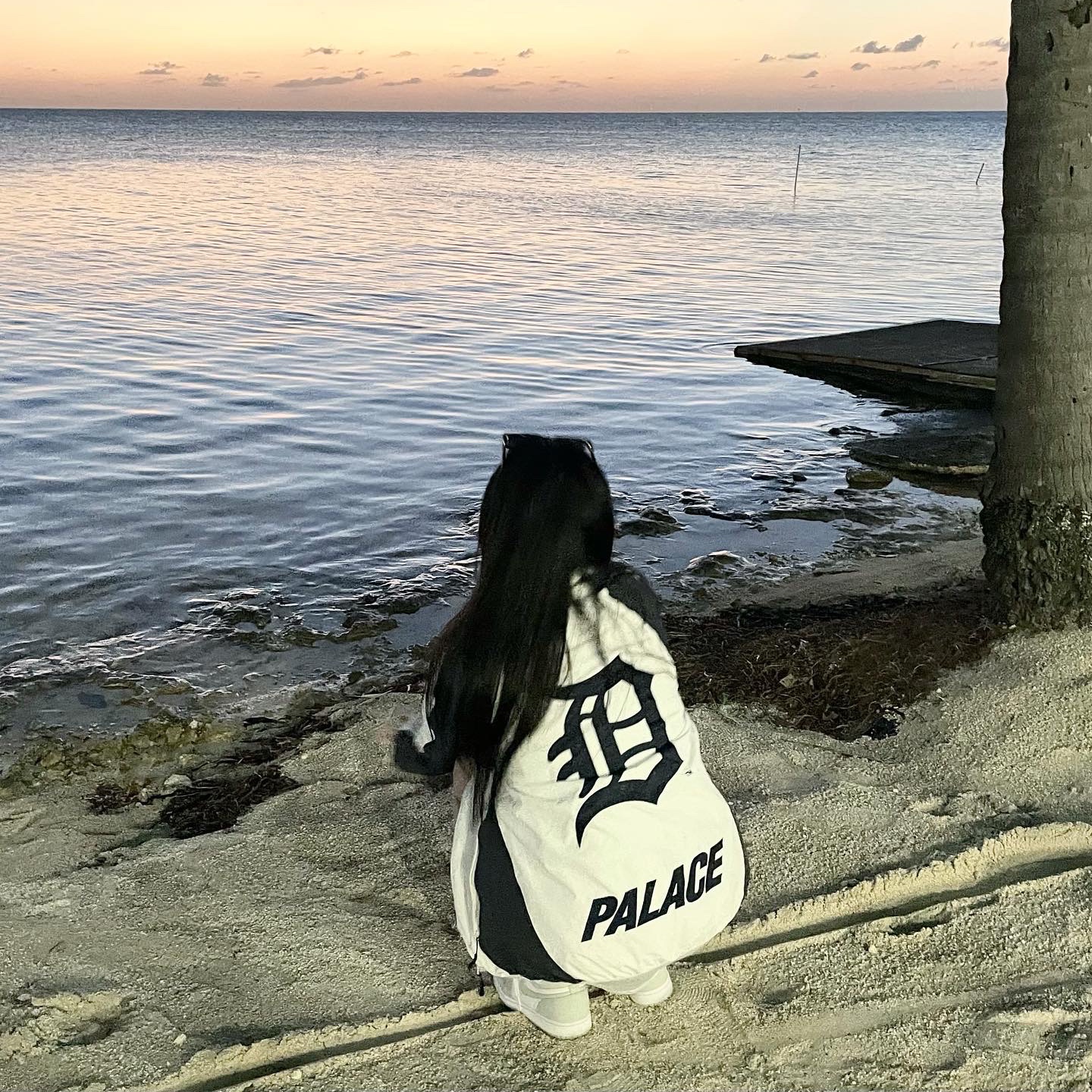 Palace x Detroit Tigers New Era Track Top White Navy - 22SS, Palace x CK1 Reversible Basketball Vest Black White - 22SS 착용 스타일 - 2