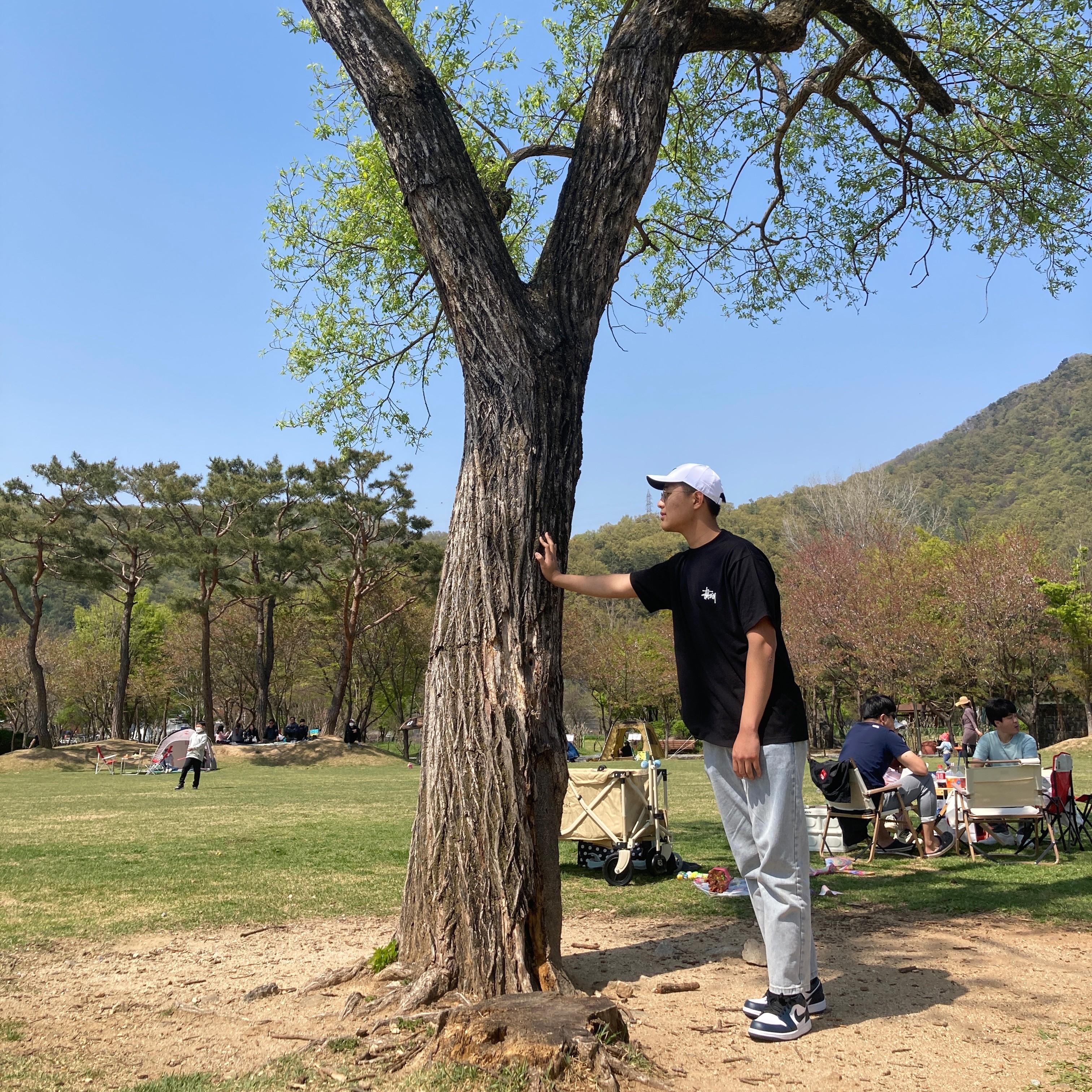 Stussy Basic Stussy T-Shirt Black 2022, Jordan 1 Low Dark Teal 착용 스타일
