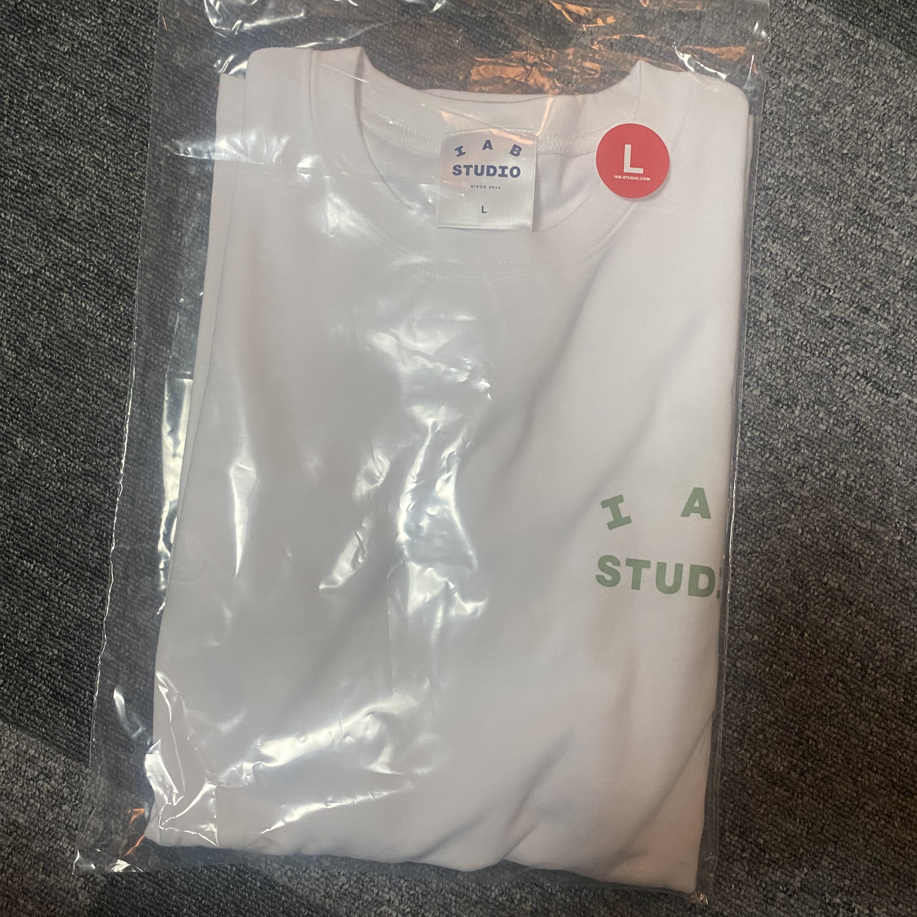 IAB Studio T-Shirt White Light Green 착용 스타일