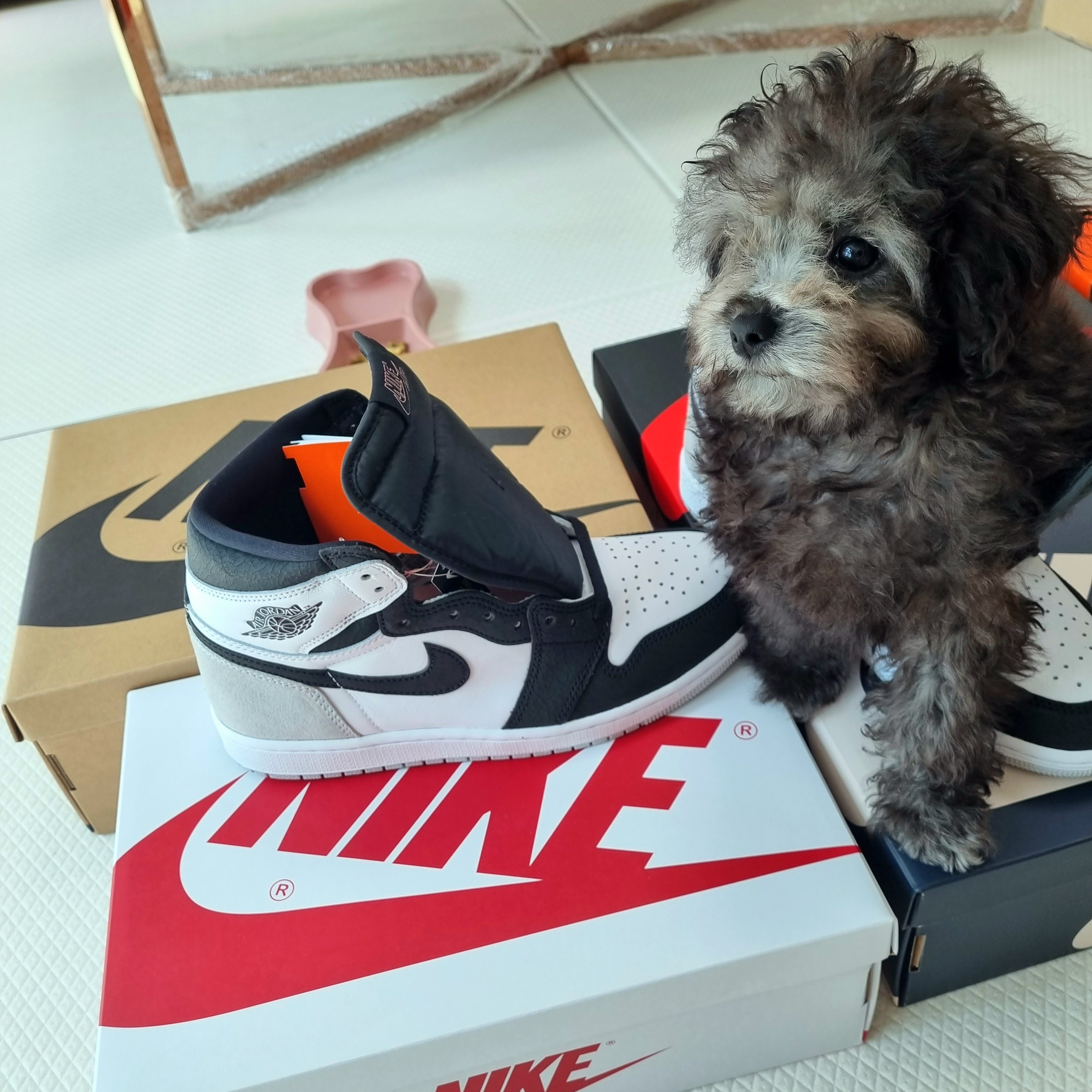 Jordan 1 Retro High OG Bleached Coral 착용 스타일