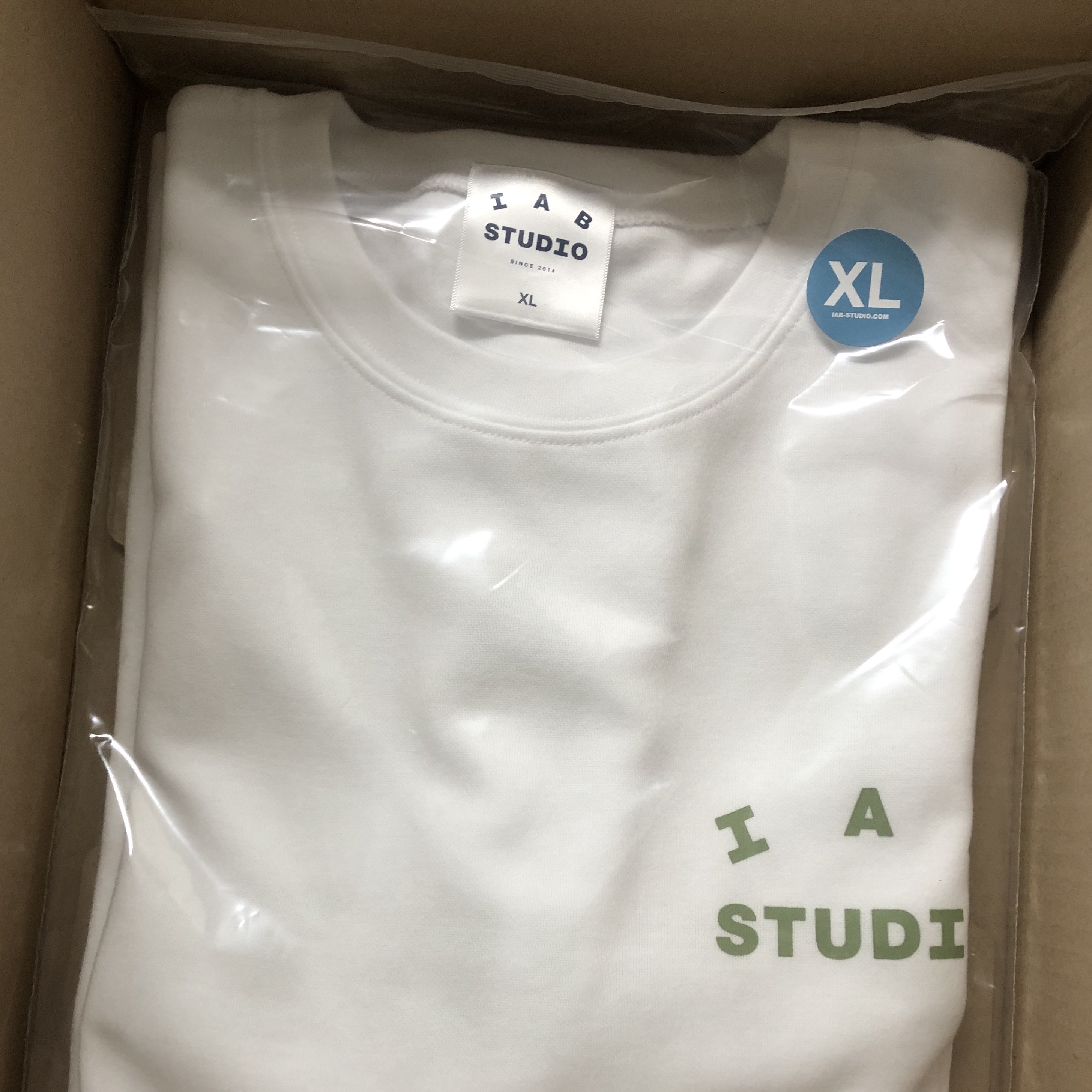 IAB Studio T-Shirt White Light Green 착용 스타일