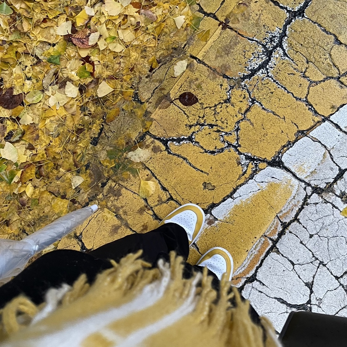 Jordan 1 Low Pollen 착용 스타일 - 2