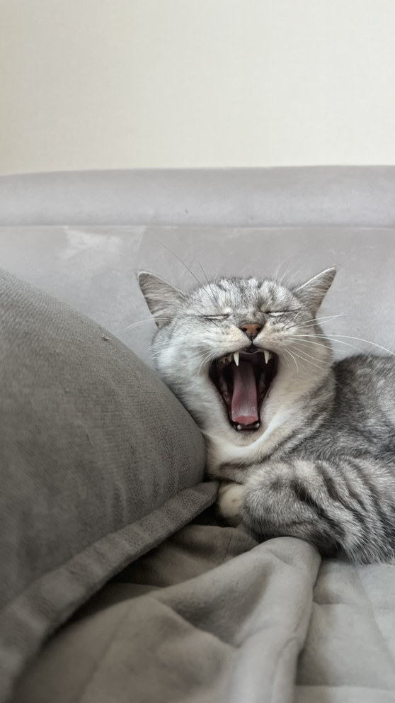 관심 유저 프로필 이미지