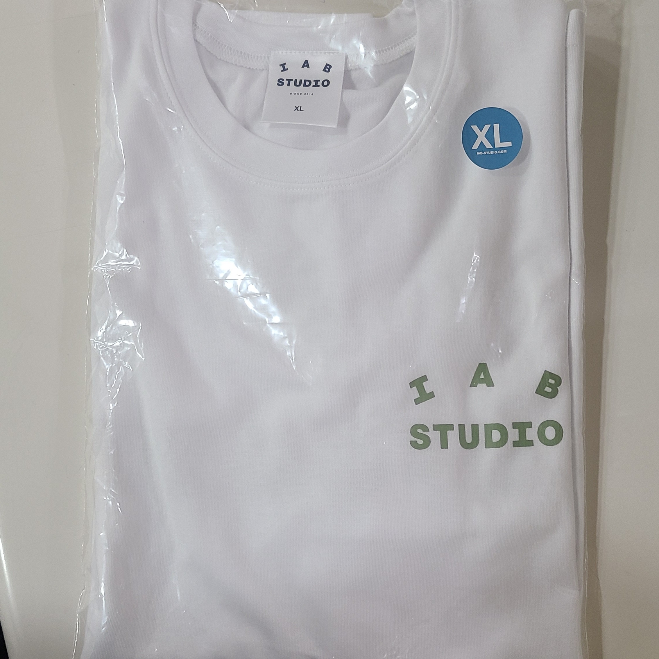 IAB Studio T-Shirt White Light Green 착용 스타일