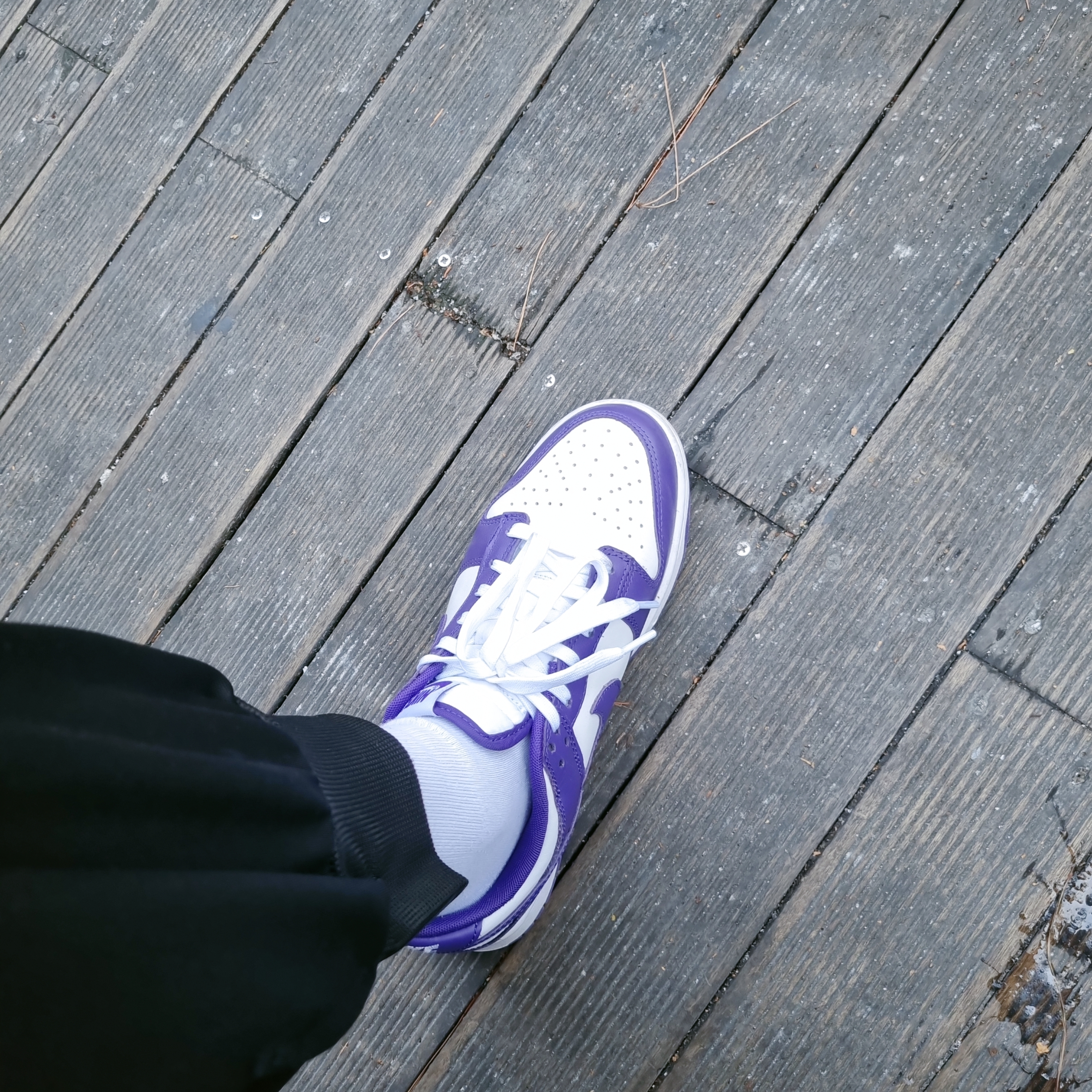 Nike Dunk Low Retro Championship Court Purple 착용 스타일 - 3