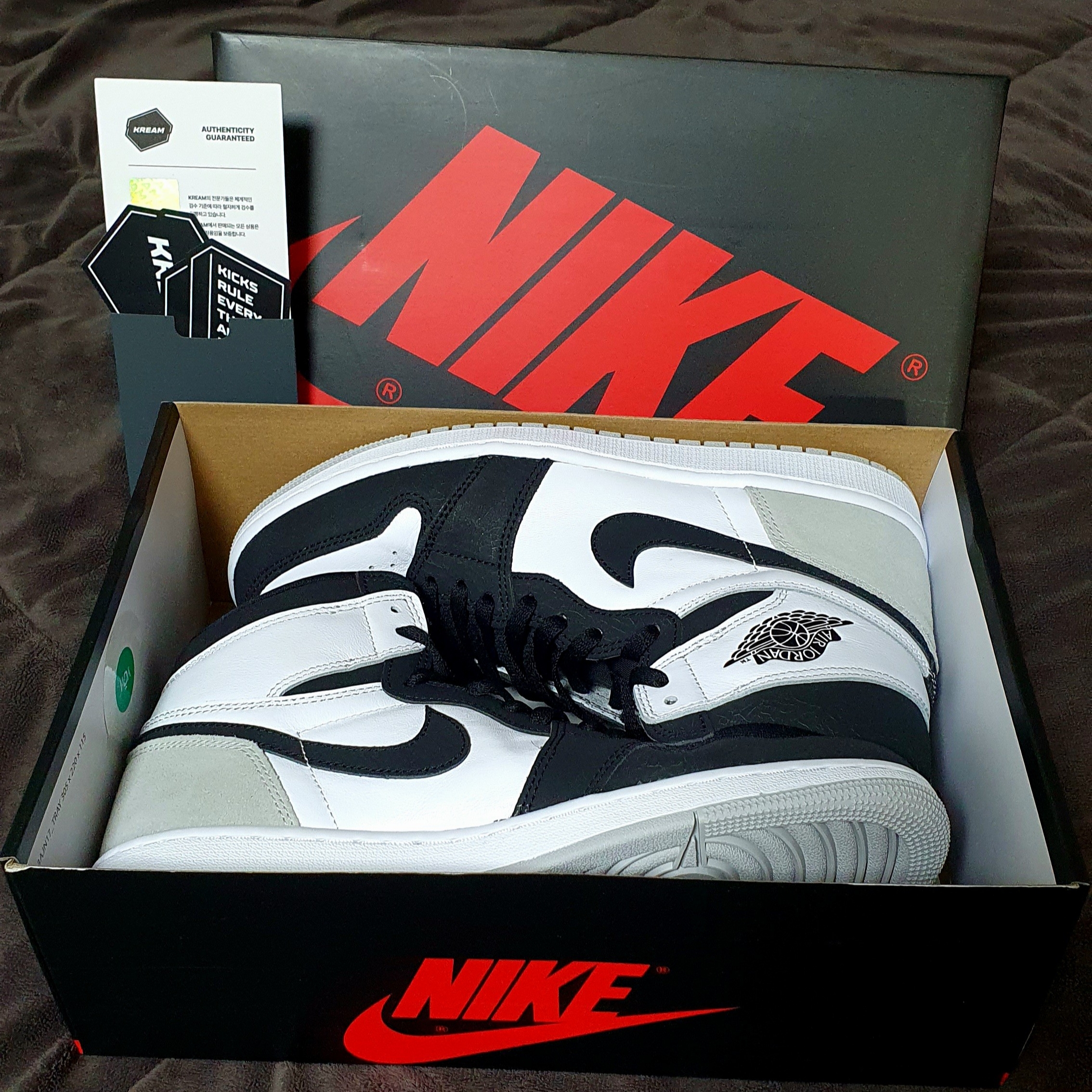 Jordan 1 Retro High OG Bleached Coral 착용 스타일 - 1