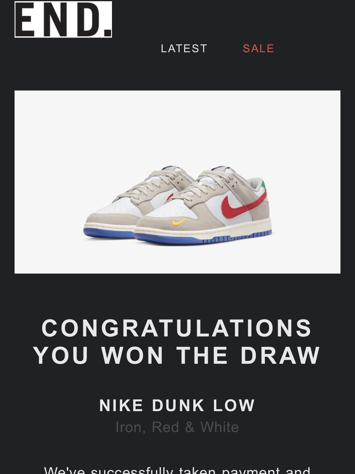 Nike Dunk Low Light Iron Ore 착용 스타일