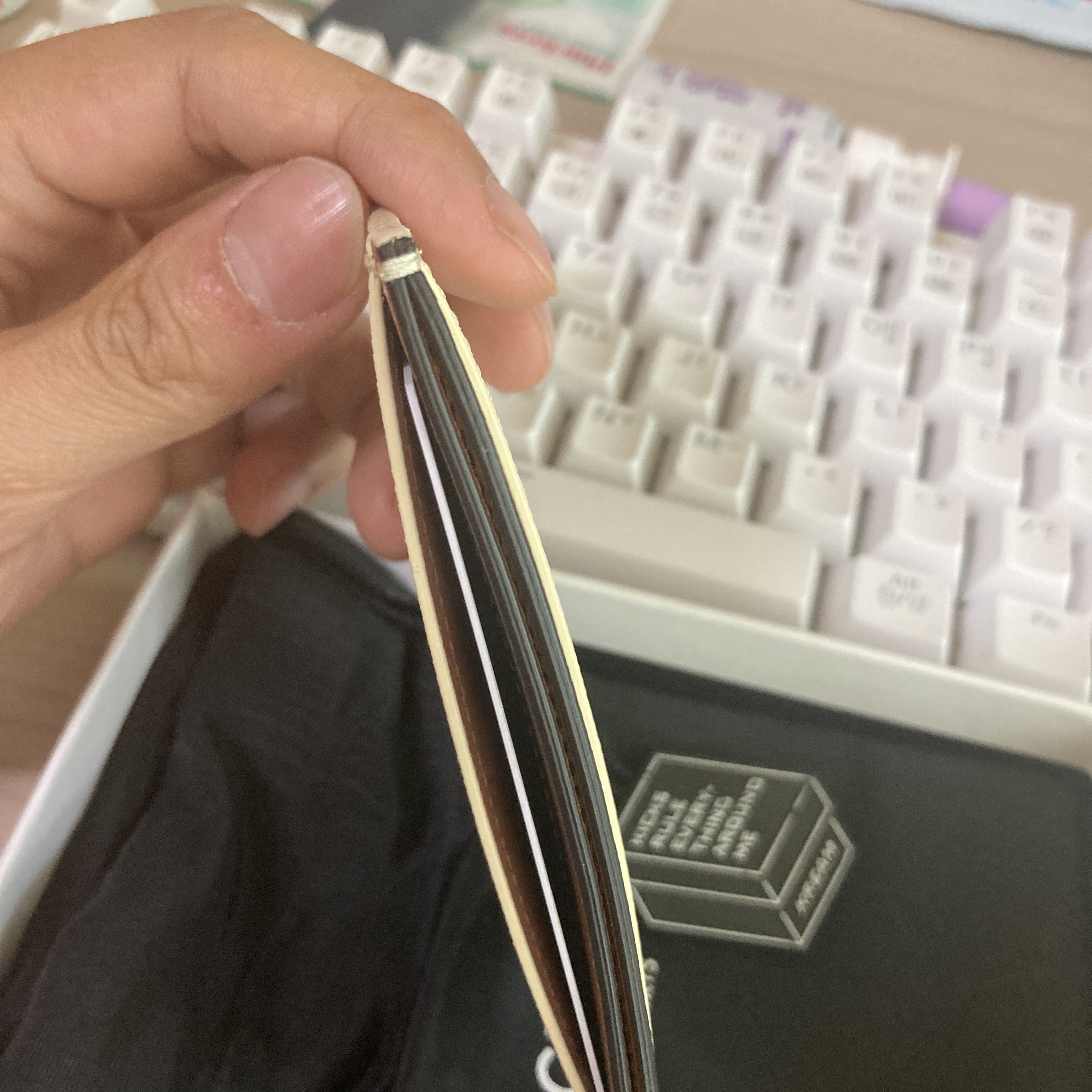 Celine Card Holder in Triomphe Canvas with Celine Print White Tan 착용 스타일