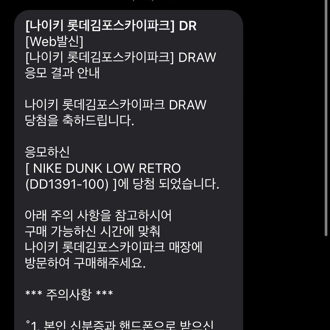 Nike Dunk Low Retro Black 착용 스타일