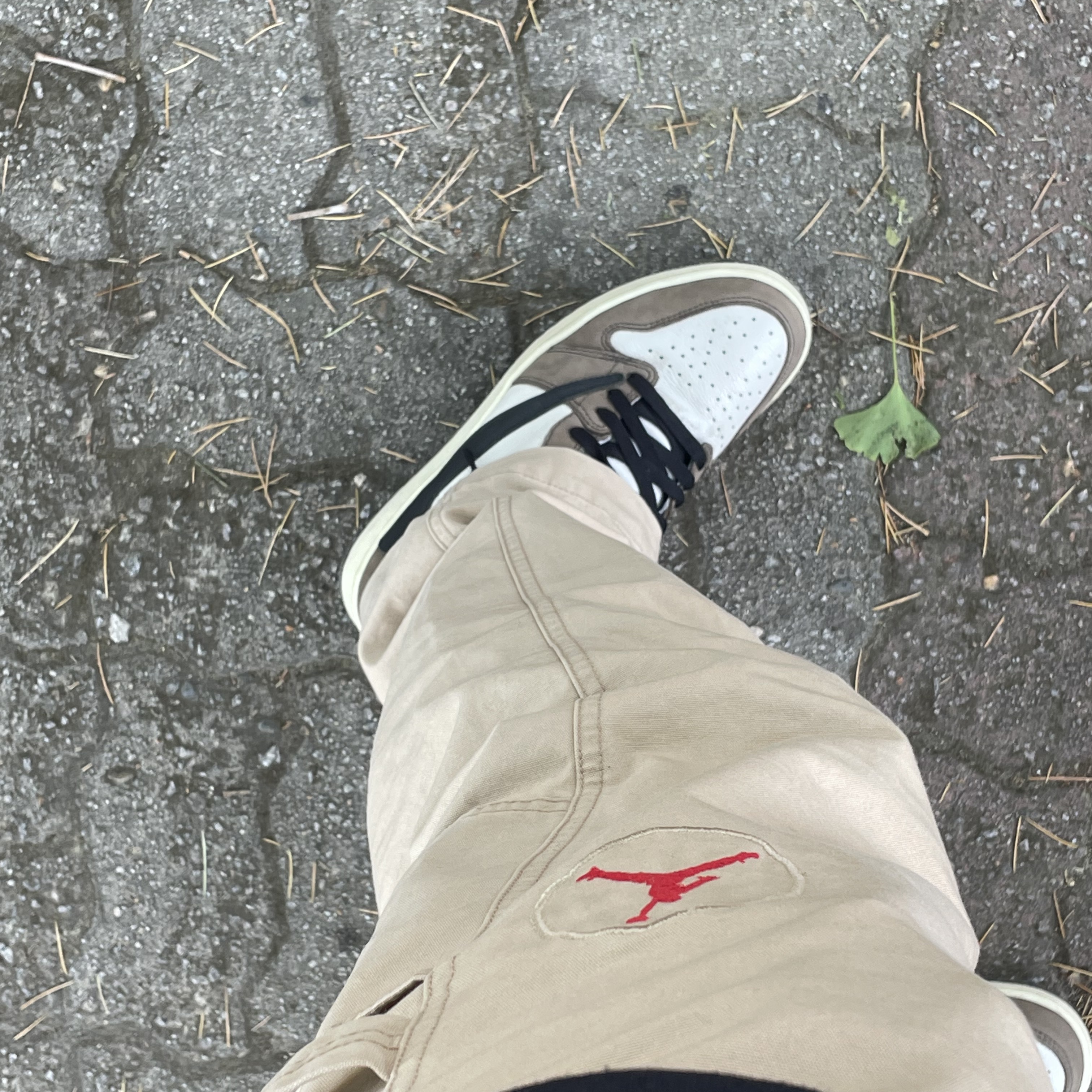 Jordan 1 x Travis Scott Retro High OG SP Mocha, Jordan x Travis Scott Canvas Pants - Asia 착용 스타일