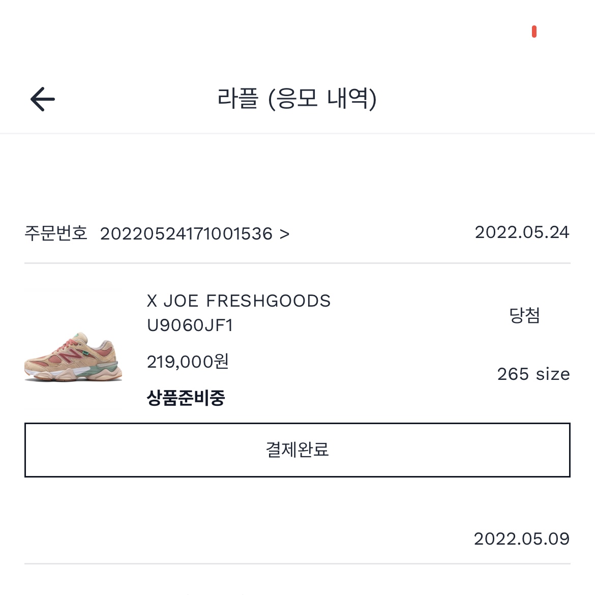 New Balance x Joe Freshgoods 9060 Inside Voices Penny Cookie Pink 착용 스타일