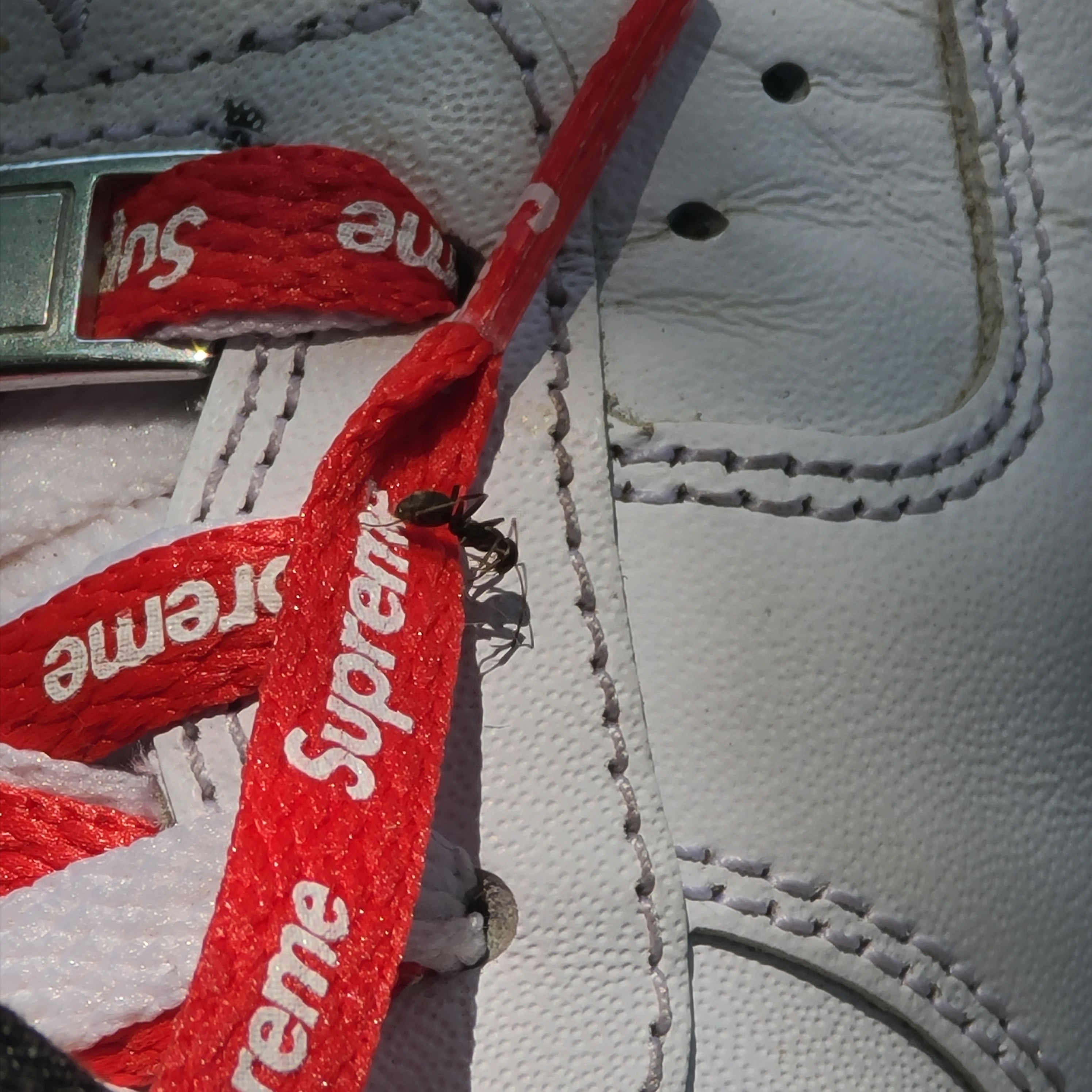 Nike x Supreme Air Force 1 Low White 착용 스타일