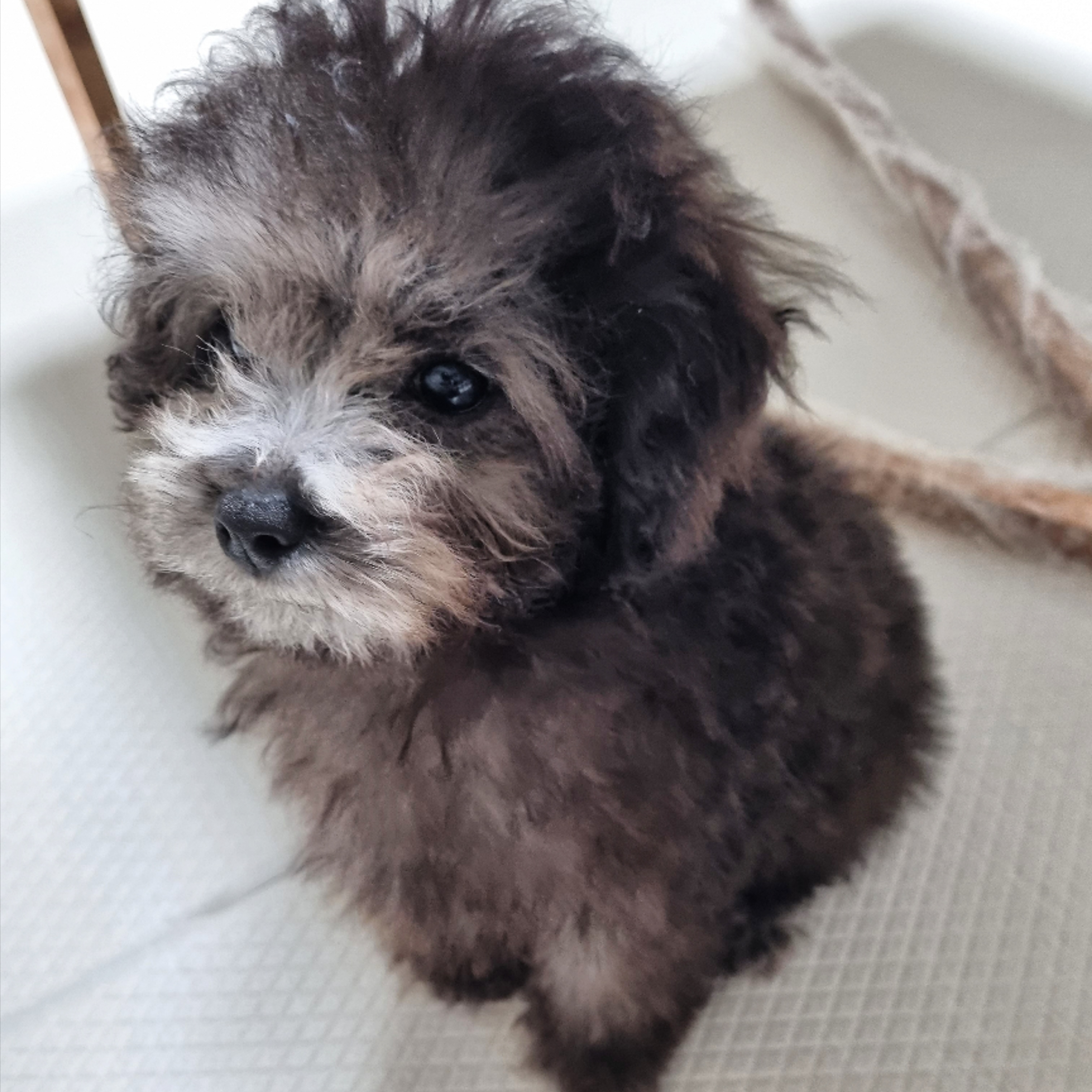 달이님의 스타일