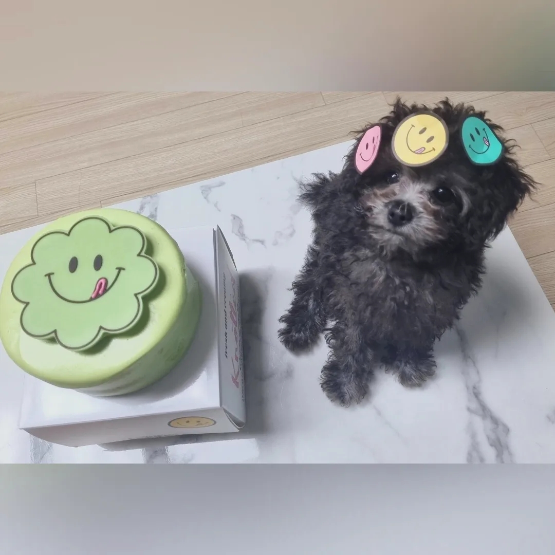 달이님의 스타일 - 1