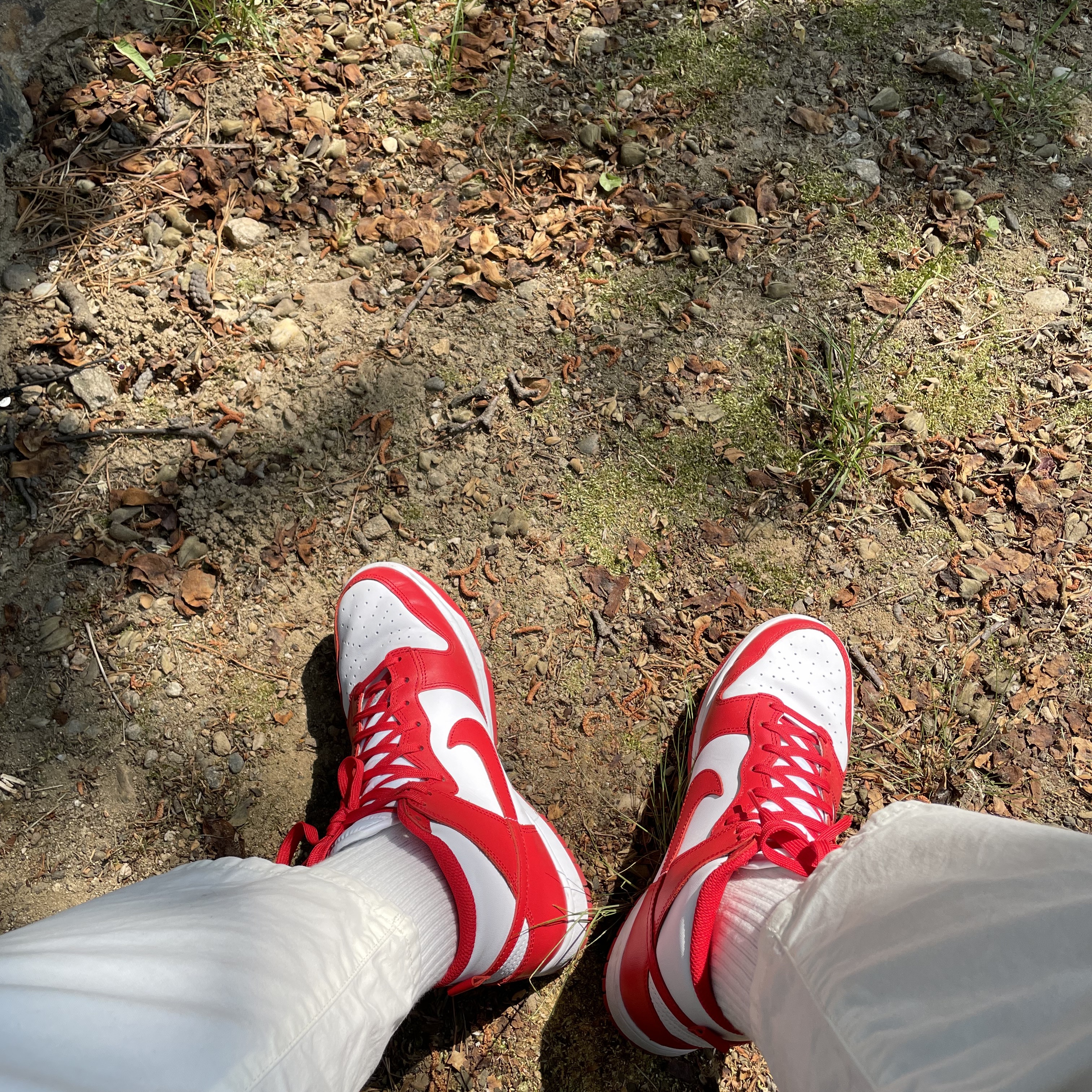 Nike Dunk High Retro Championship White and Red 착용 스타일