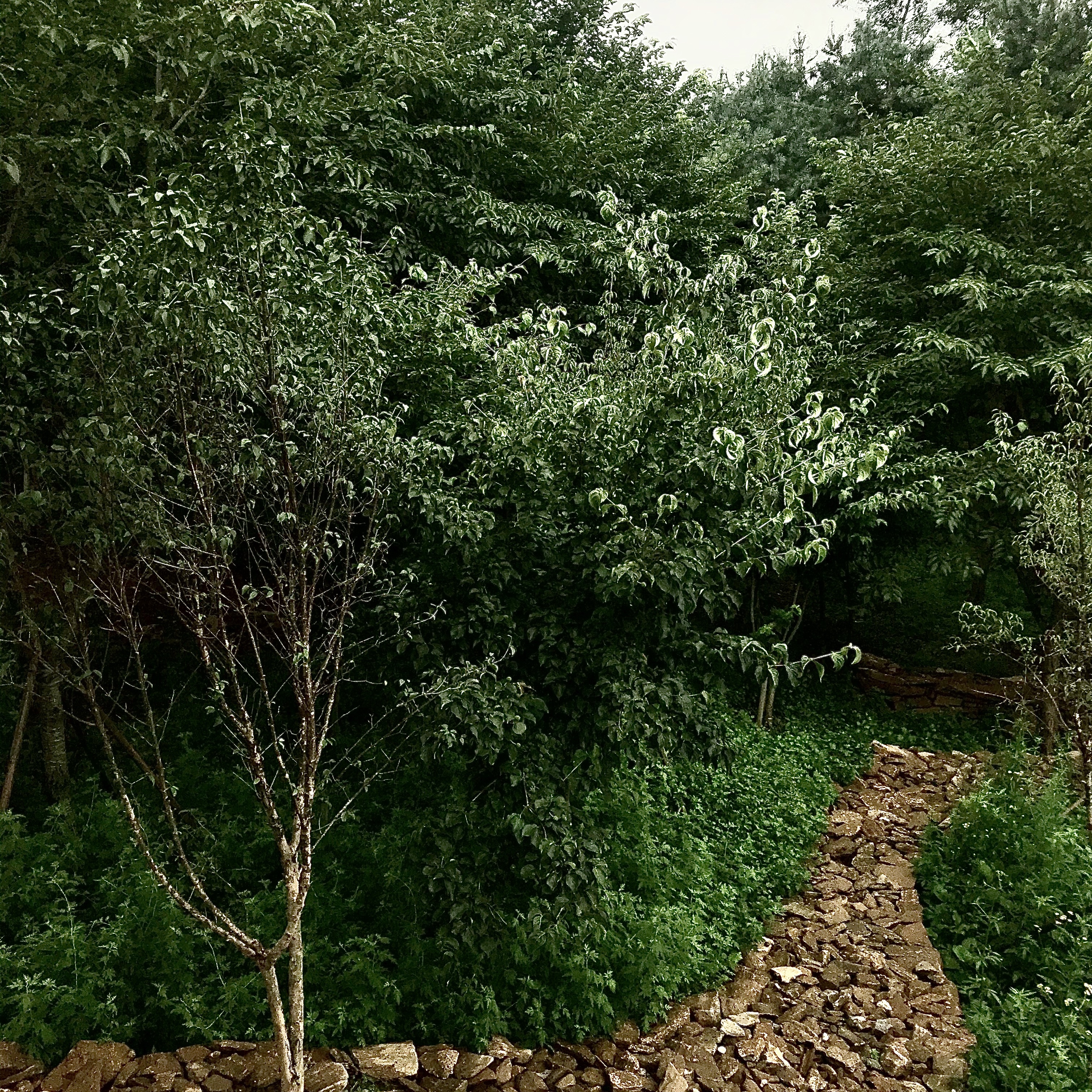 타로님의 스타일 - 2
