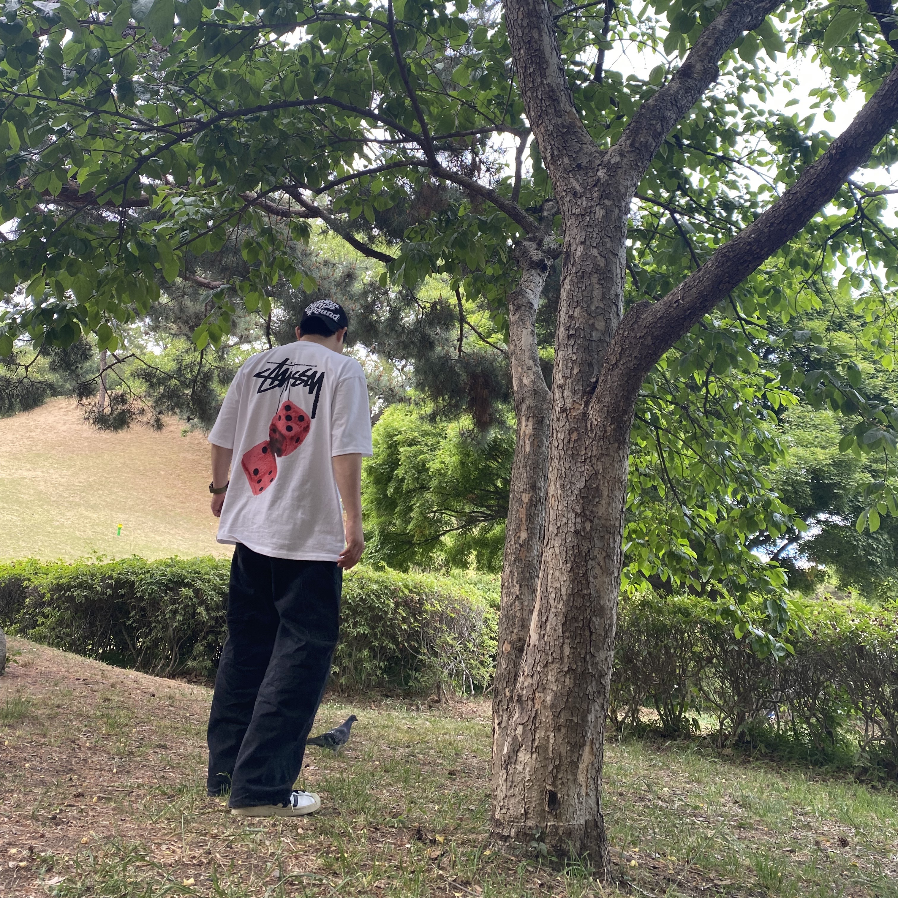 Stussy Fuzzy Dice T-Shirt White, Adidas Superstar Premium White Black 착용 스타일