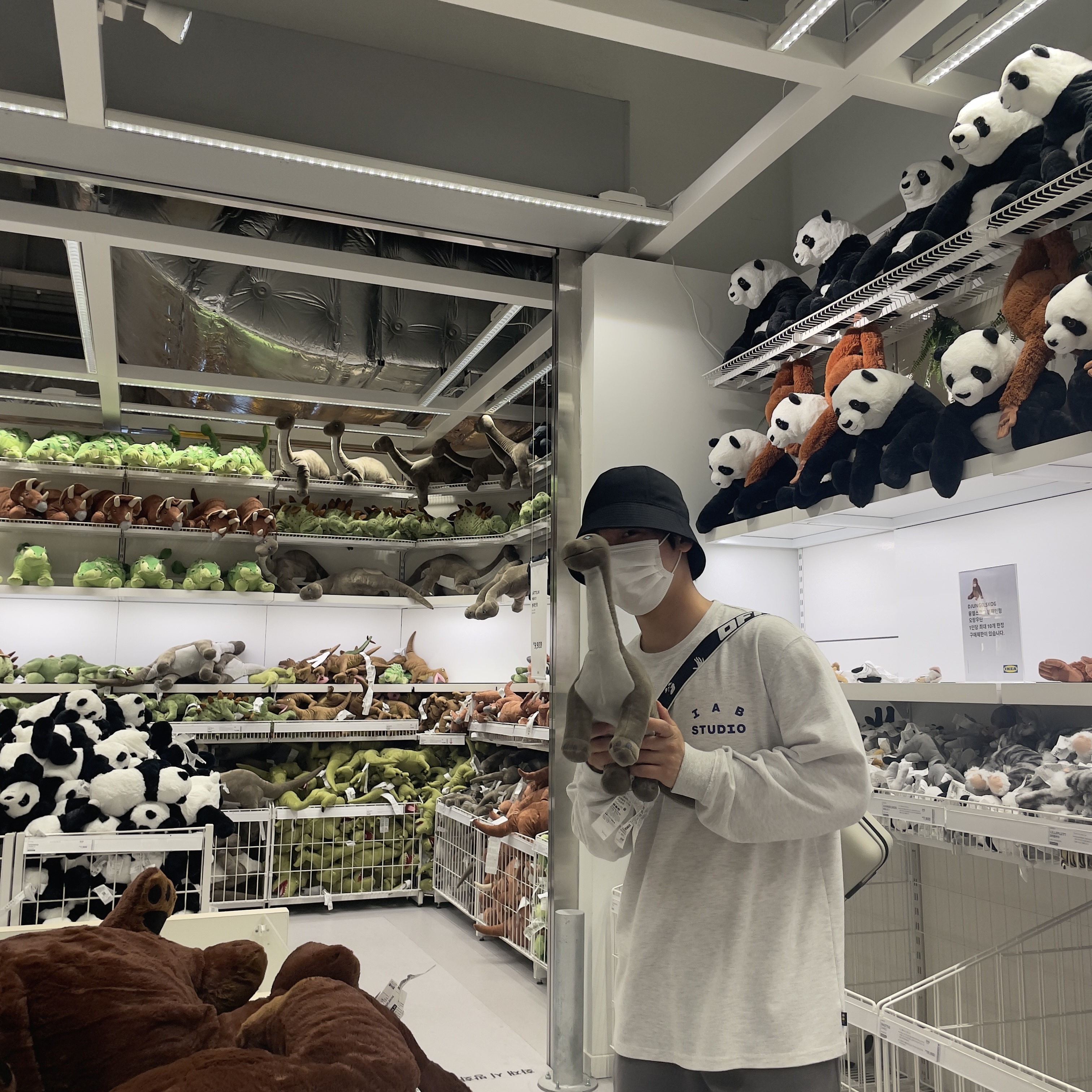 IAB Studio Long Sleeve Light Gray, Off-White x Amore Pacific Protection Box (Without Cosmetics) 착용 스타일