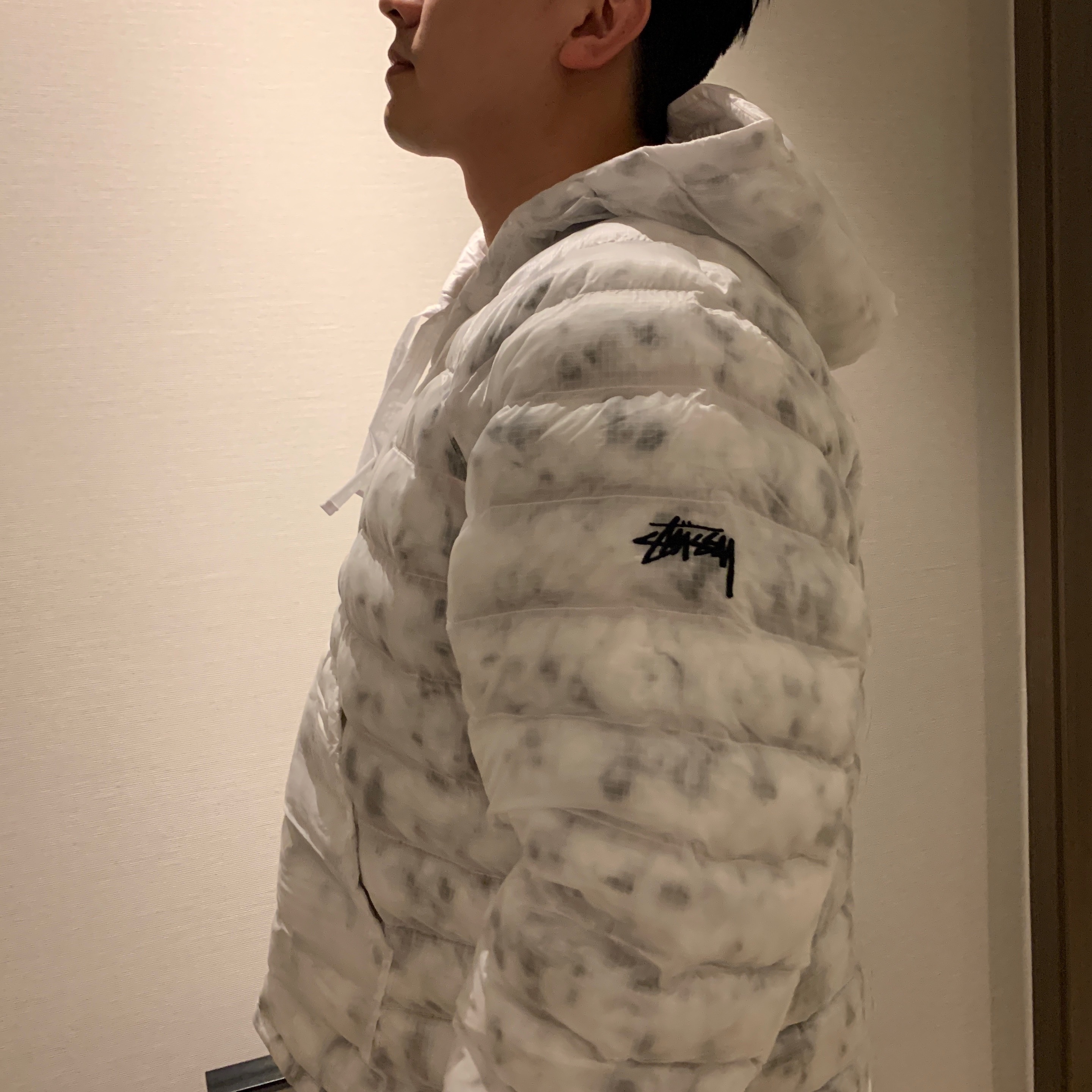 Nike x Stussy Insultd Jacket White Gorge Green - Asia 착용 스타일