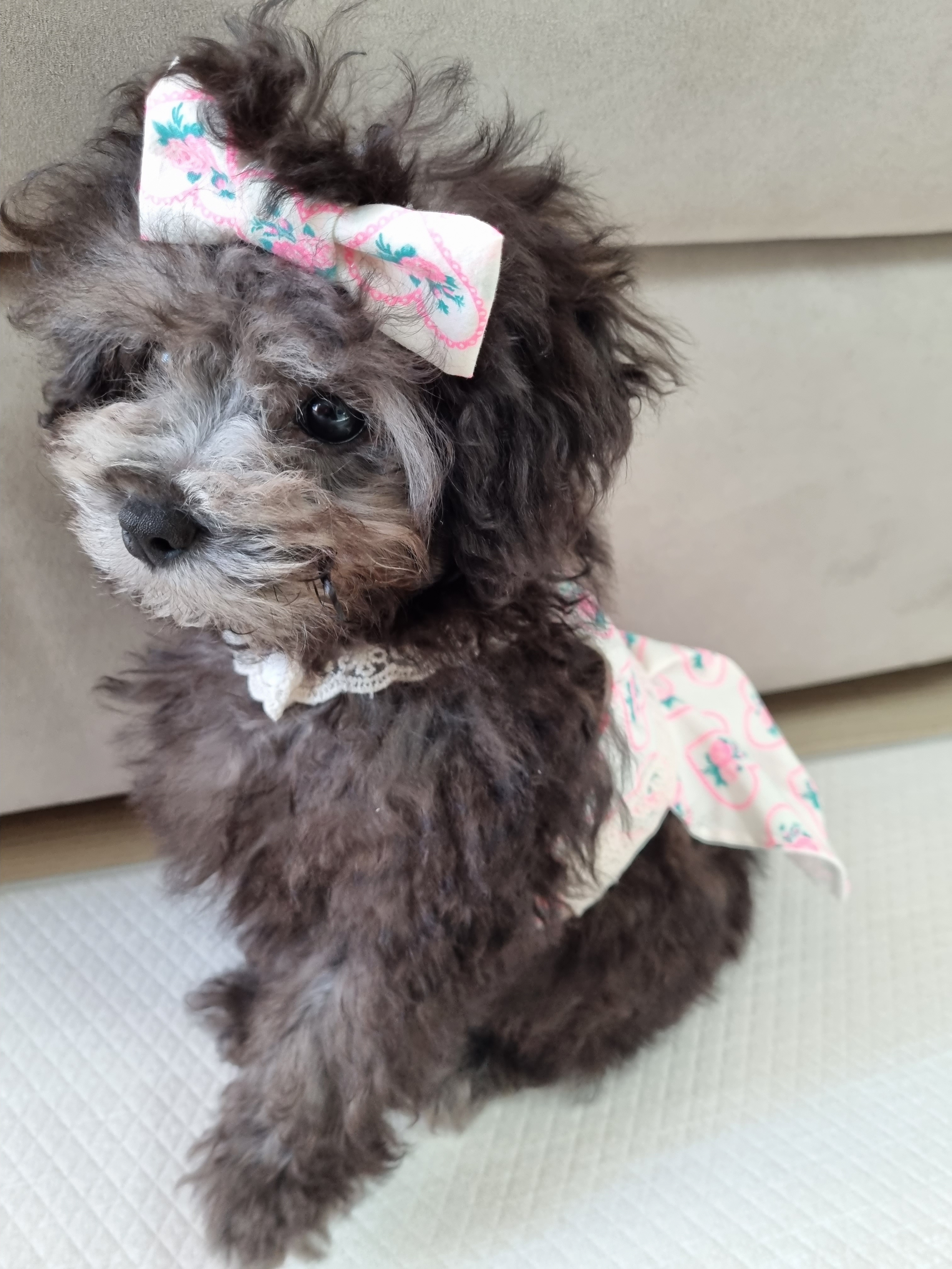 달이님의 스타일 - 1