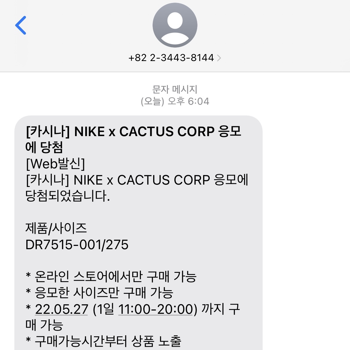 Nike x Travis Scott Nike Air Trainer 1 Grey Haze and Dusty Sage 착용 스타일