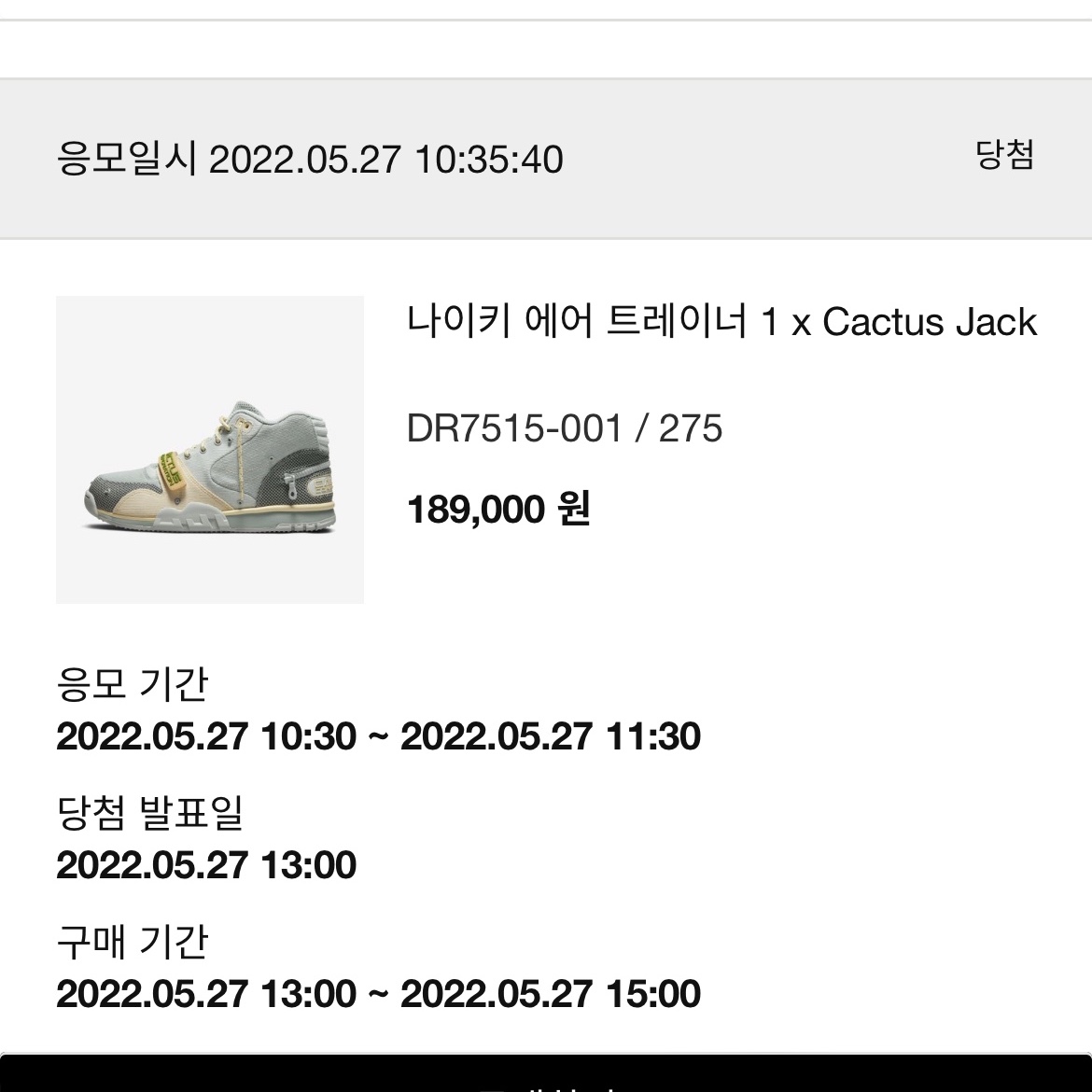 Nike x Travis Scott Nike Air Trainer 1 Grey Haze and Dusty Sage 착용 스타일
