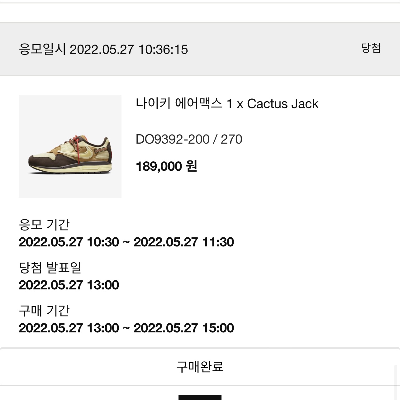Nike x Travis Scott Air Max 1 Cact.us Brown 착용 스타일