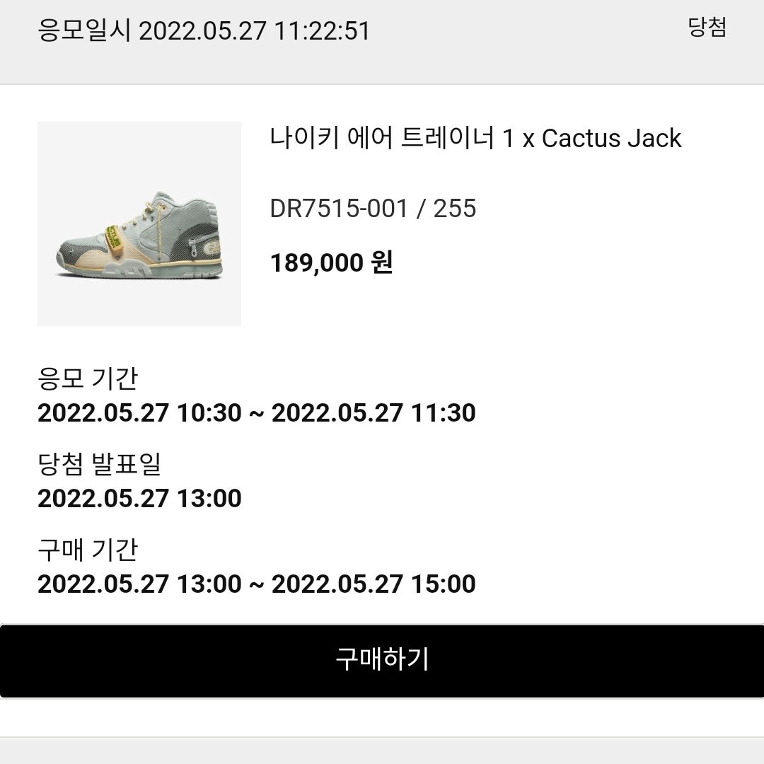 Nike x Travis Scott Nike Air Trainer 1 Grey Haze and Dusty Sage 착용 스타일