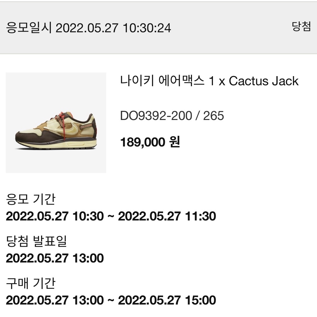 Nike x Travis Scott Air Max 1 Cact.us Brown 착용 스타일