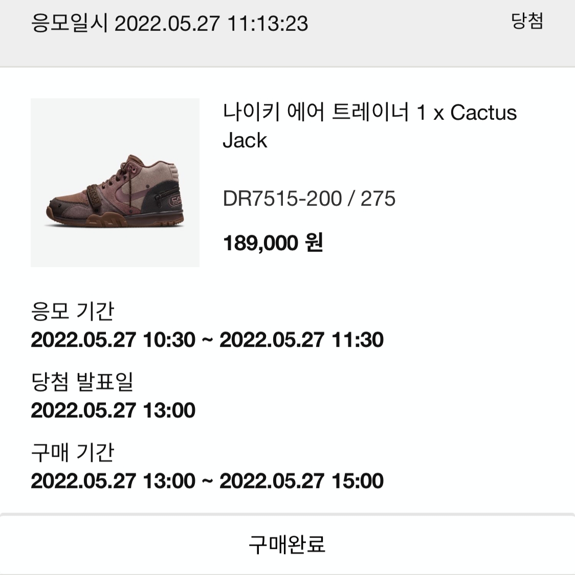 Nike x Travis Scott Air Trainer 1 Archaeo Brown and Rust Pink 착용 스타일