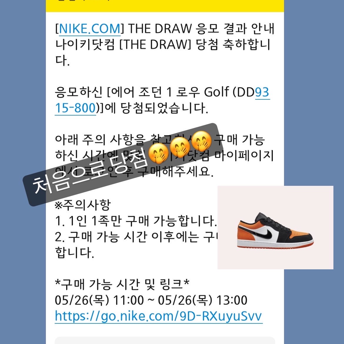 Jordan 1 Low Golf Starfish 착용 스타일