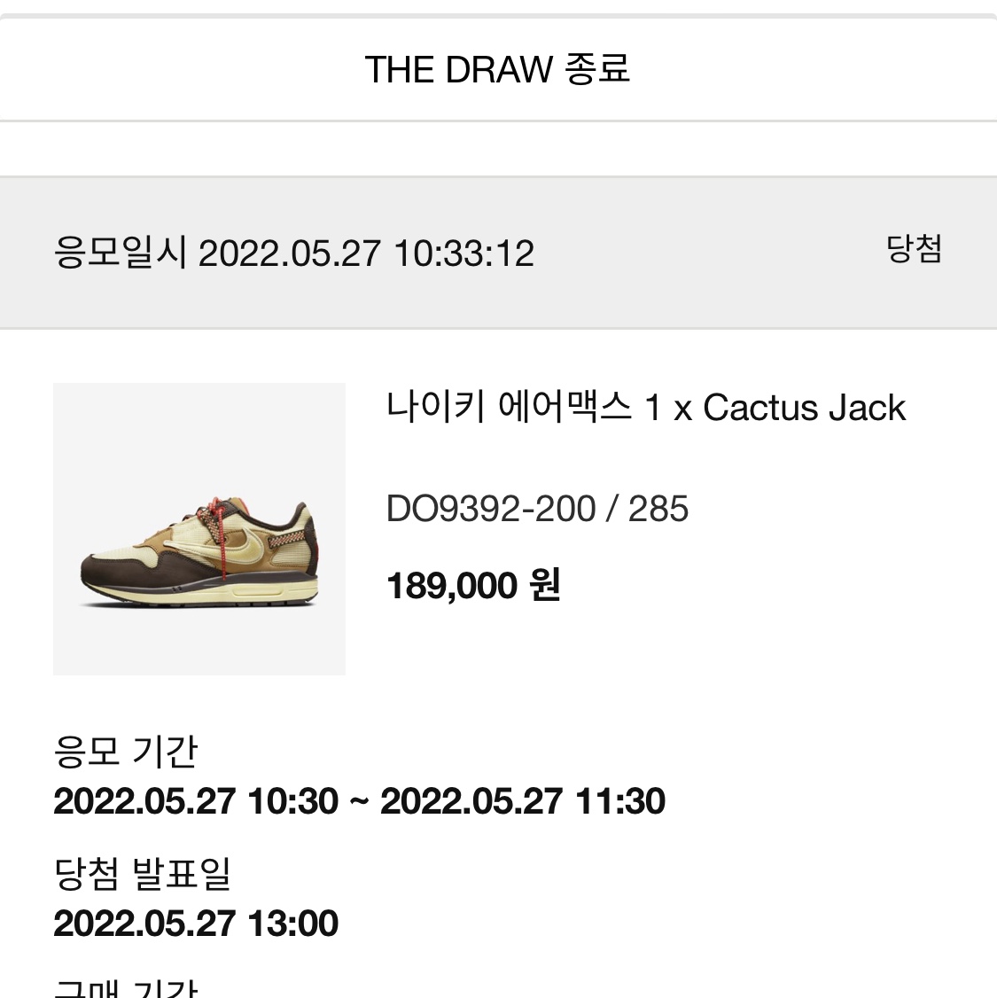 Nike x Travis Scott Air Max 1 Cact.us Brown 착용 스타일