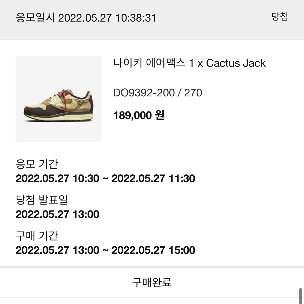 Nike x Travis Scott Air Max 1 Cact.us Brown 착용 스타일