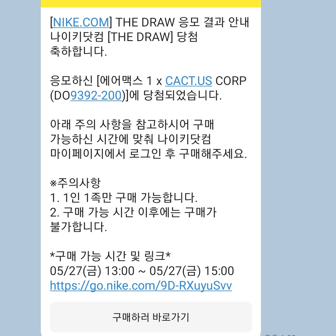 Nike x Travis Scott Air Max 1 Cact.us Brown 착용 스타일