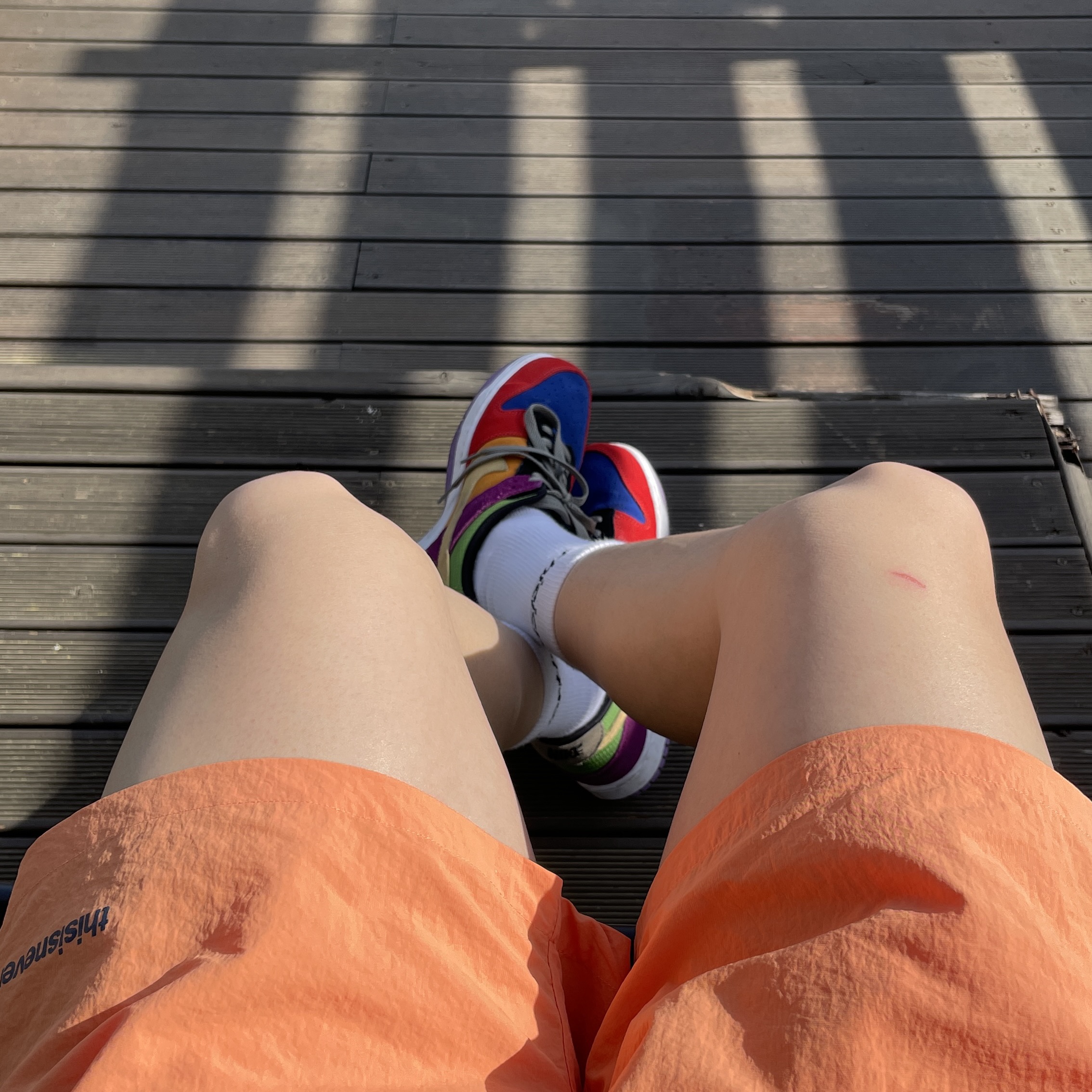 Nike Dunk Low SP Retro Viotech 2019 착용 스타일 - 2