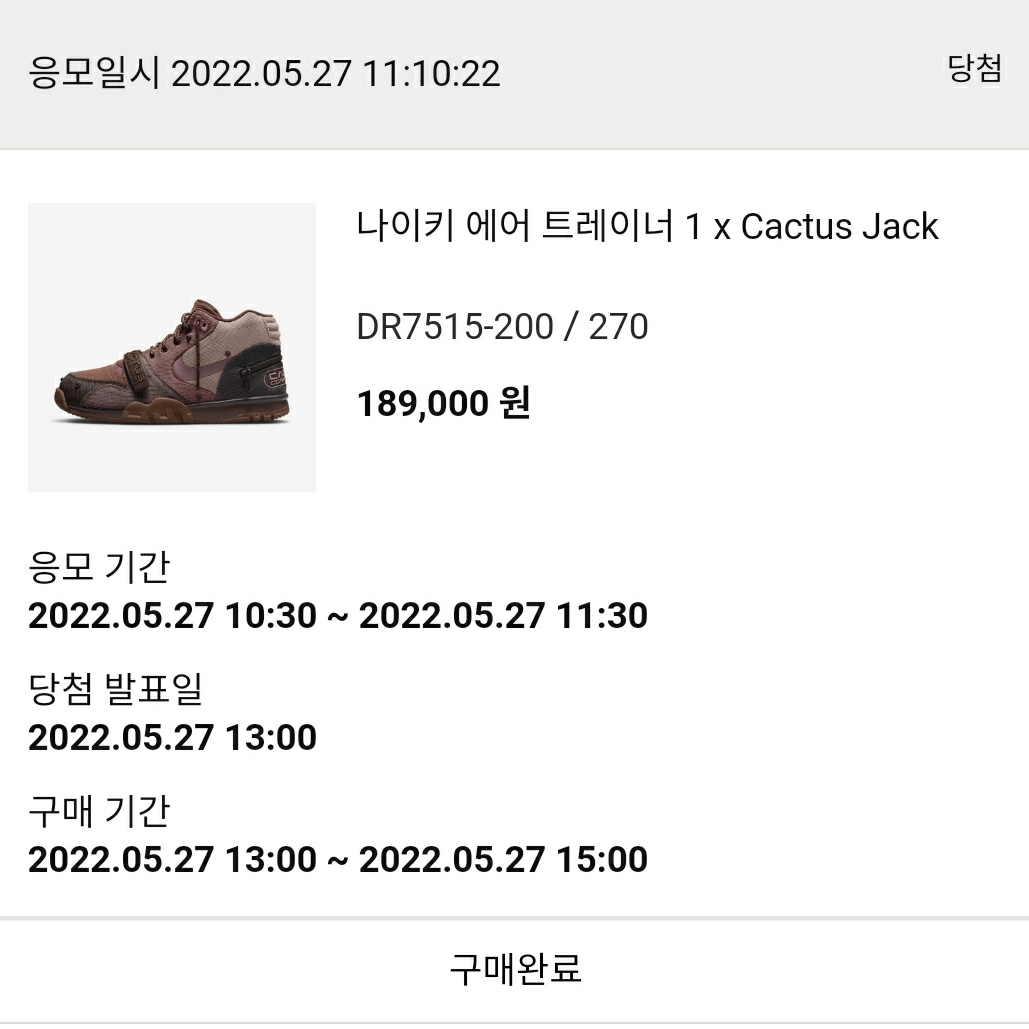 Nike x Travis Scott Air Trainer 1 Archaeo Brown and Rust Pink 착용 스타일