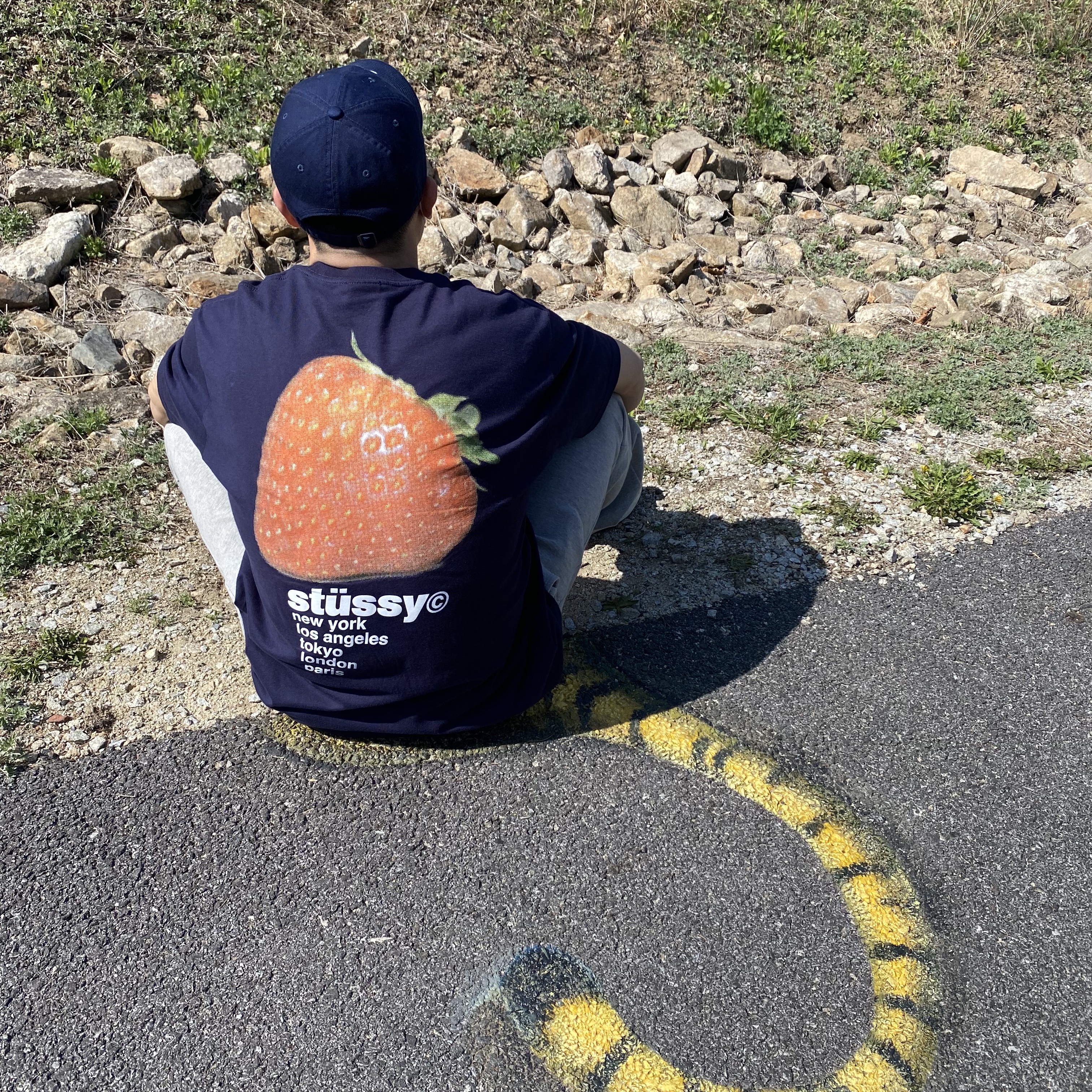 Stussy Strawberry T-Shirt Navy 착용 스타일