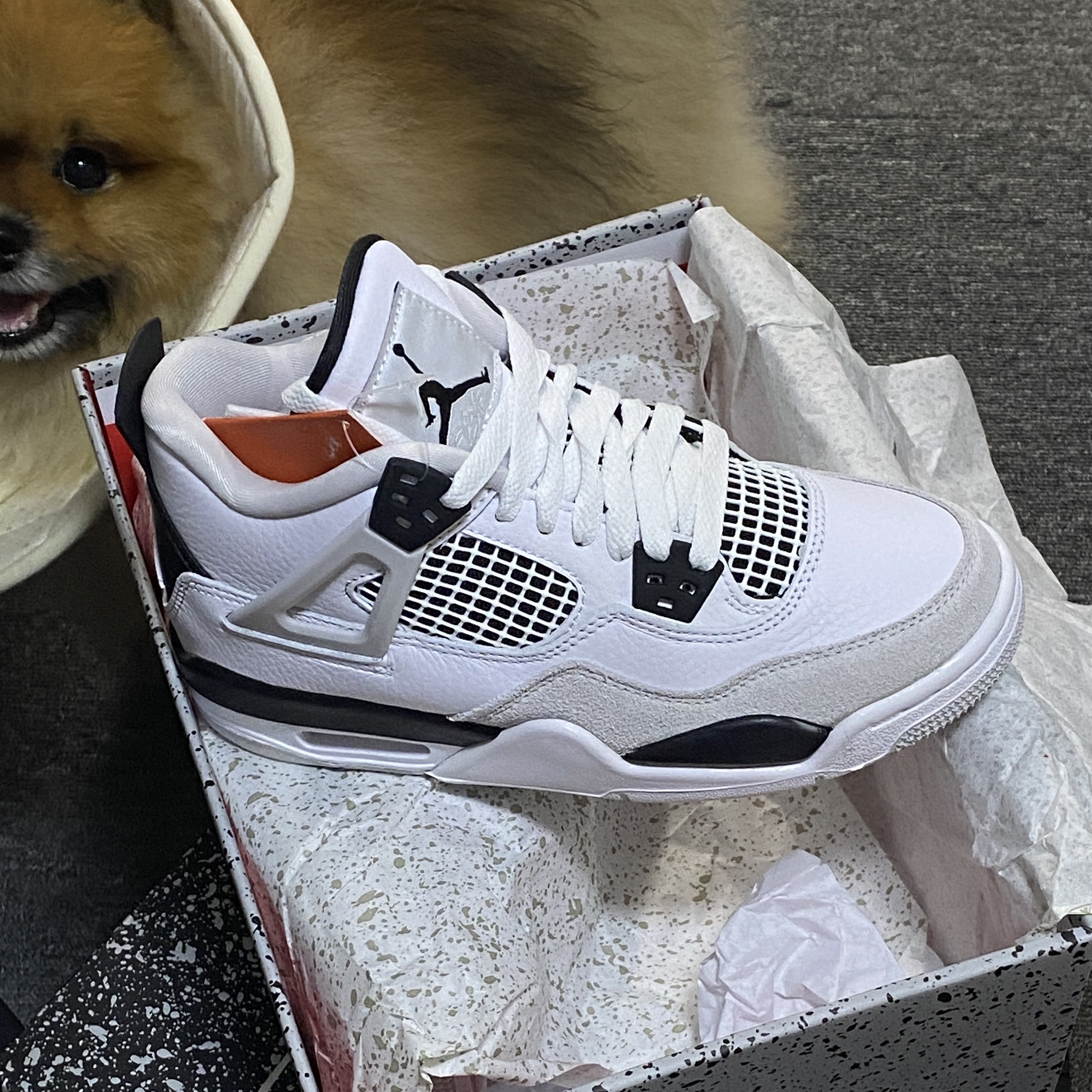 Jordan 4 Retro White and Black, (GS) Jordan 4 Retro White and Black 착용 스타일