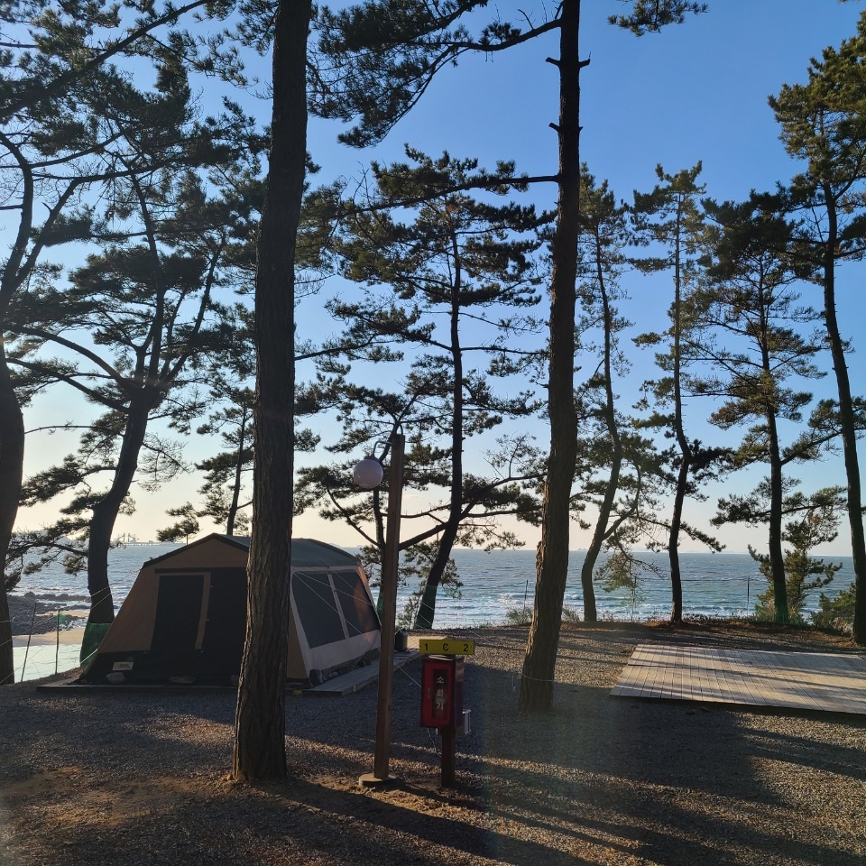 관심 유저 프로필 이미지