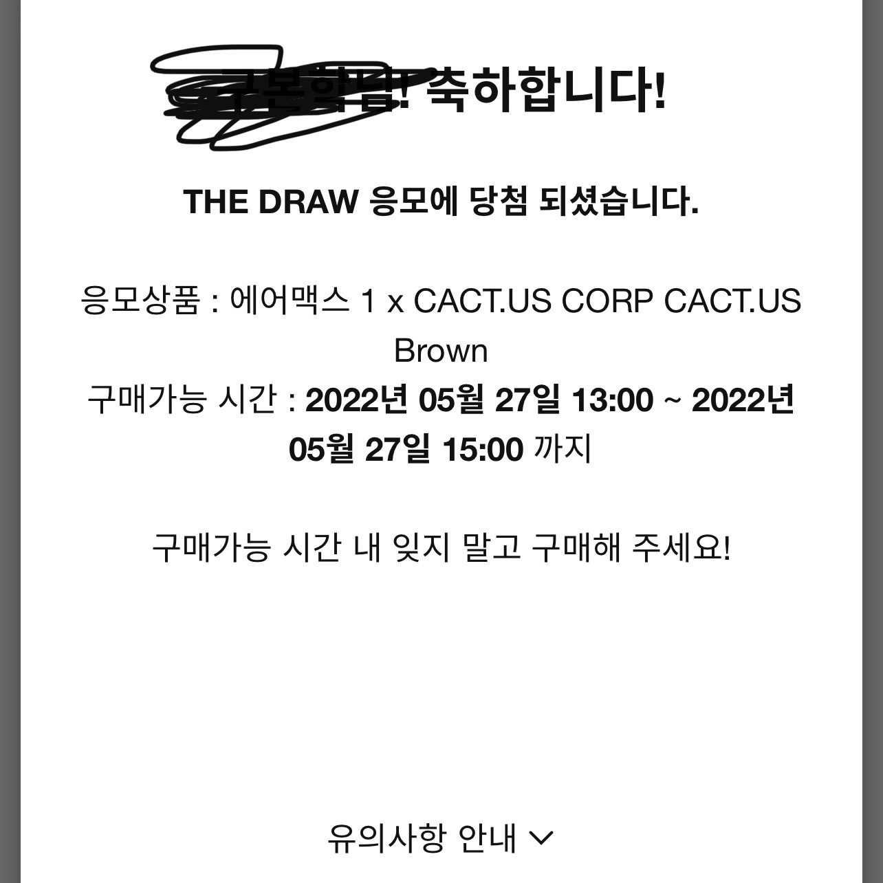 Nike x Travis Scott Air Max 1 Cact.us Brown 착용 스타일 - 2