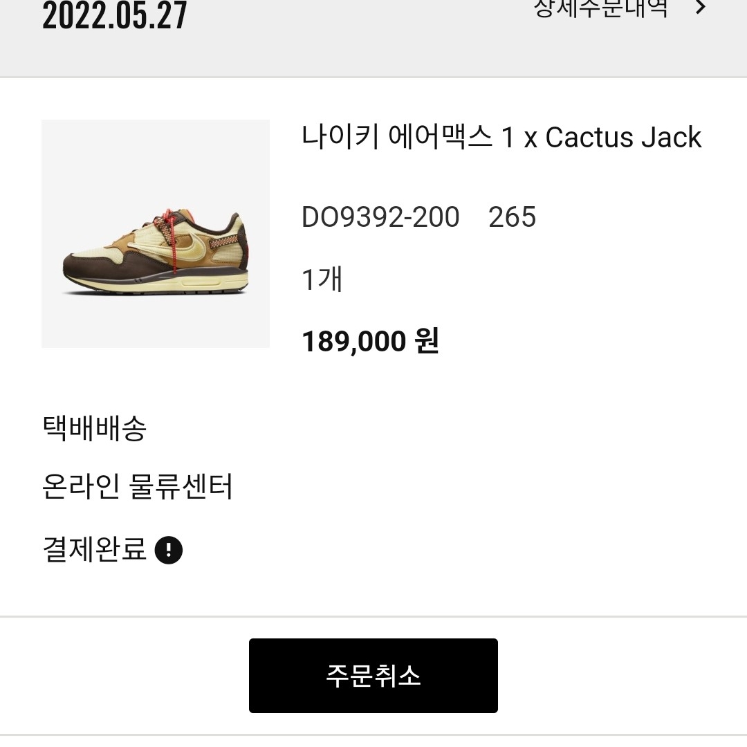 Nike x Travis Scott Air Max 1 Cact.us Brown 착용 스타일