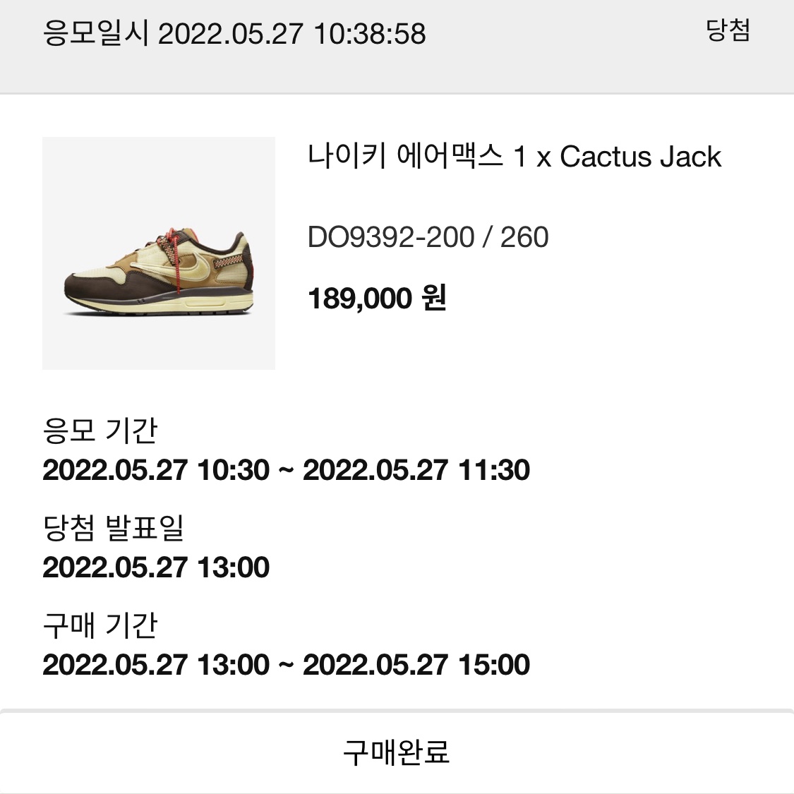 Nike x Travis Scott Air Max 1 Cact.us Brown 착용 스타일