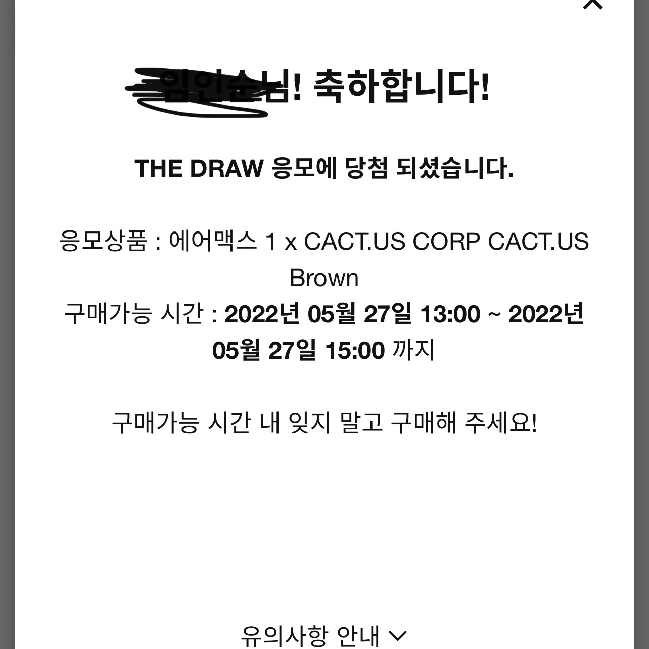 Nike x Travis Scott Air Max 1 Cact.us Brown 착용 스타일 - 1