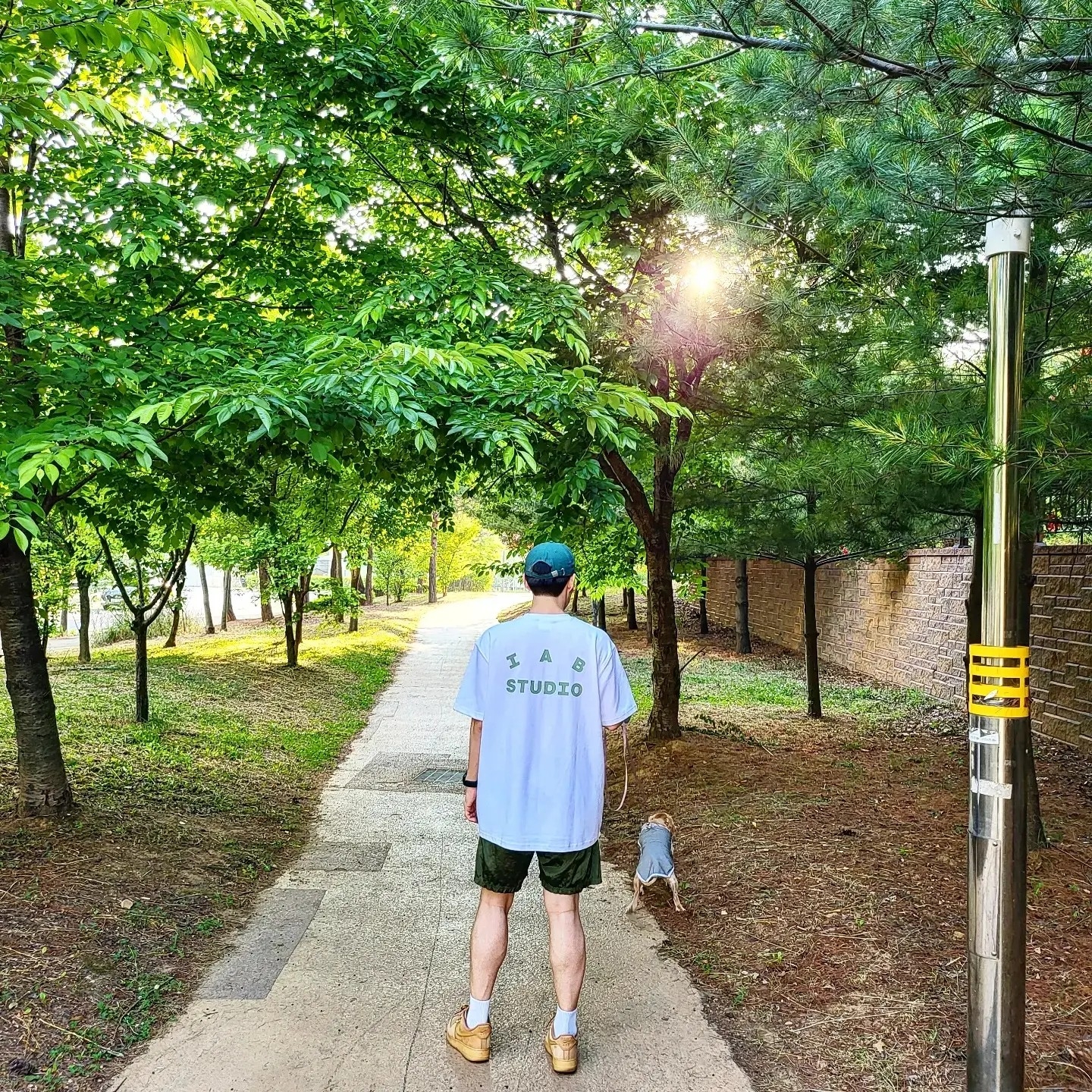 IAB Studio T-Shirt White Light Green, Nike Air Force 1 Low Flax 착용 스타일 - 2