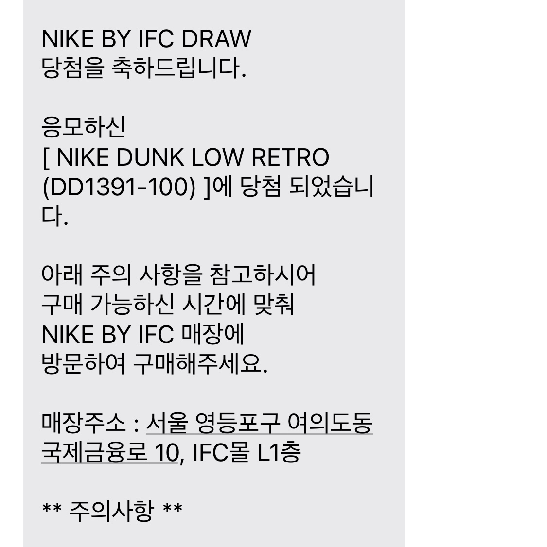 Nike Dunk Low Retro Black 착용 스타일