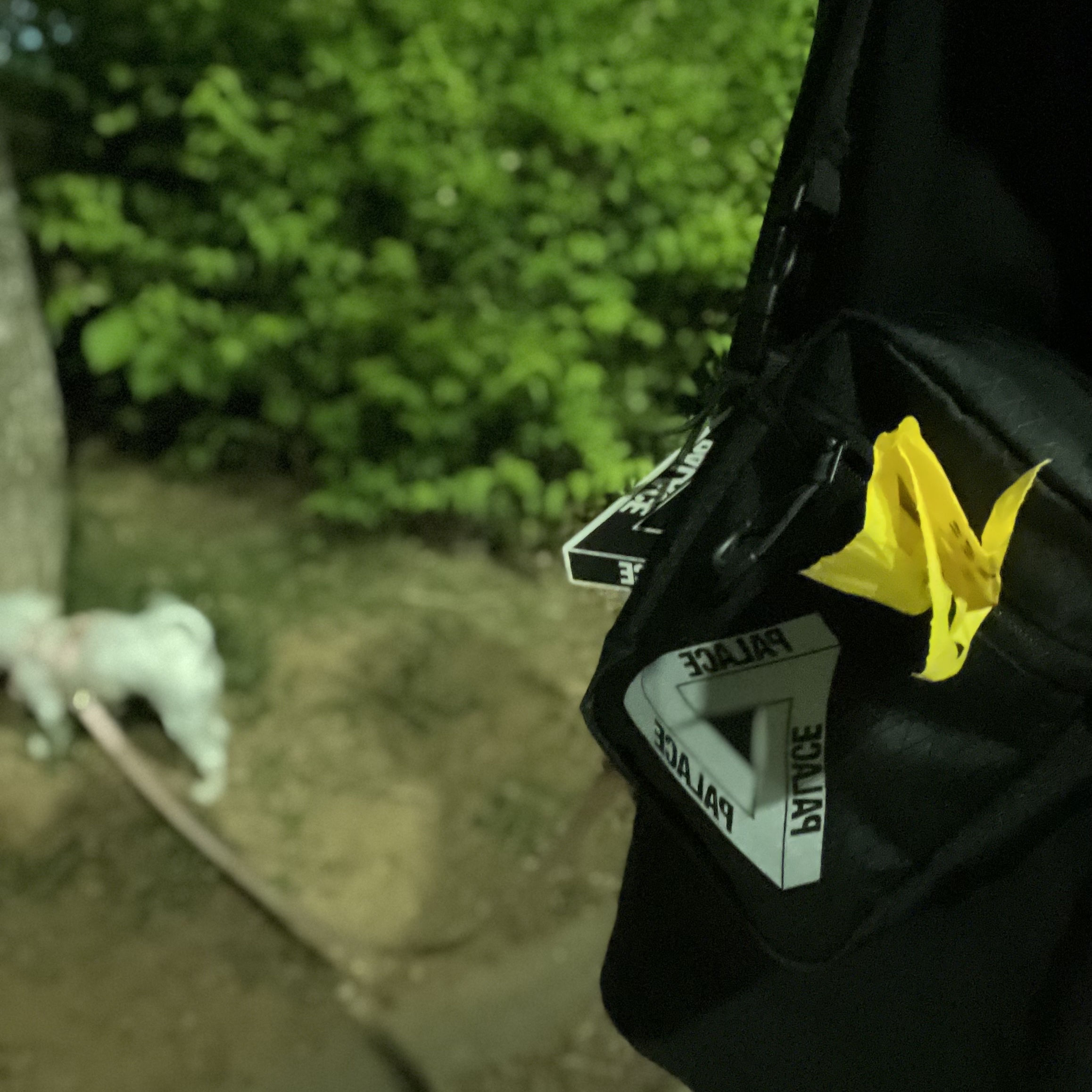 Palace Cordura Double Diamond Shot Bag Black - 21FW 착용 스타일 - 1