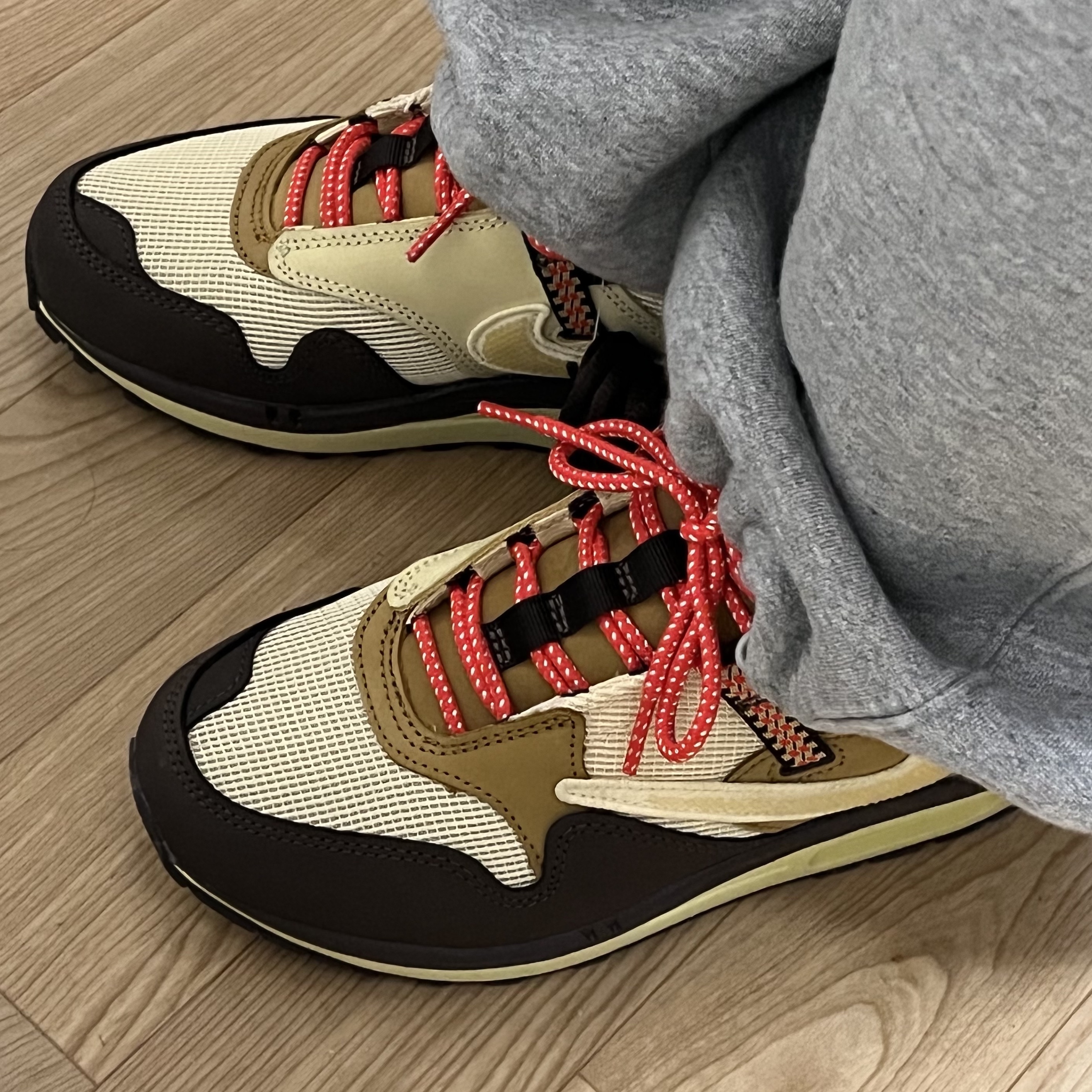 Nike x Travis Scott Air Max 1 Cact.us Brown 착용 스타일