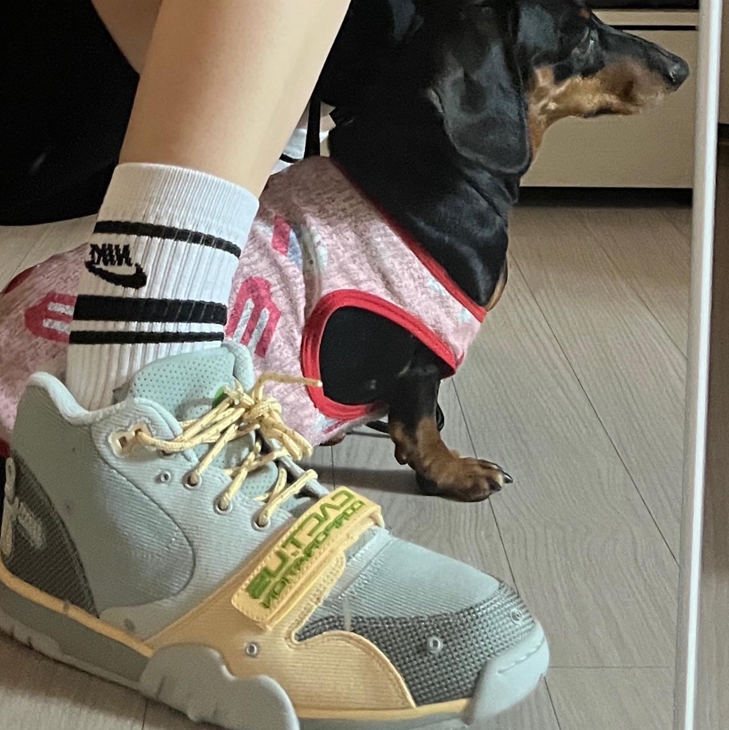 Nike x Travis Scott Nike Air Trainer 1 Grey Haze and Dusty Sage 착용 스타일 - 2