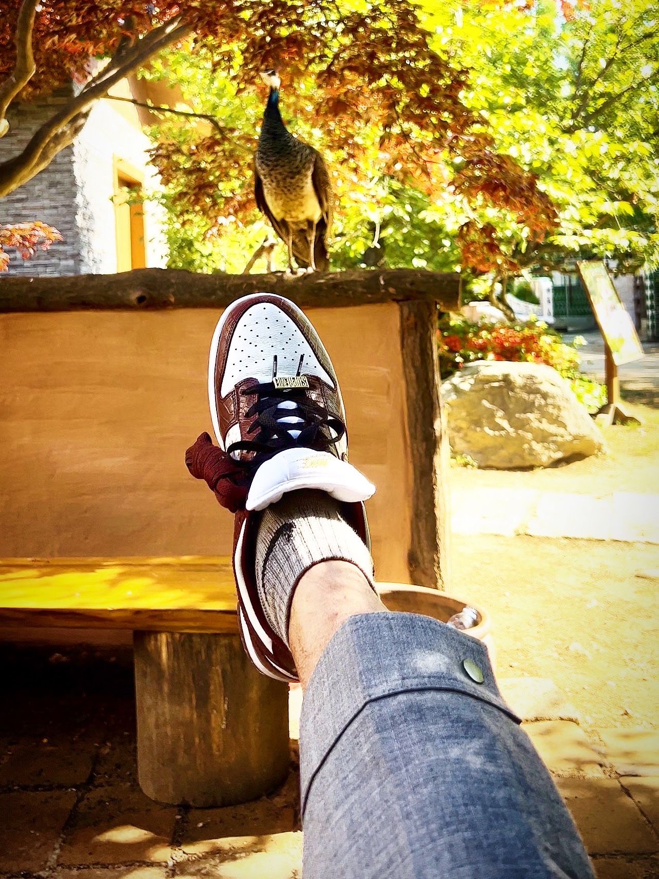 Nike x Supreme SB Dunk Low Barkroot Brown 착용 스타일 - 2