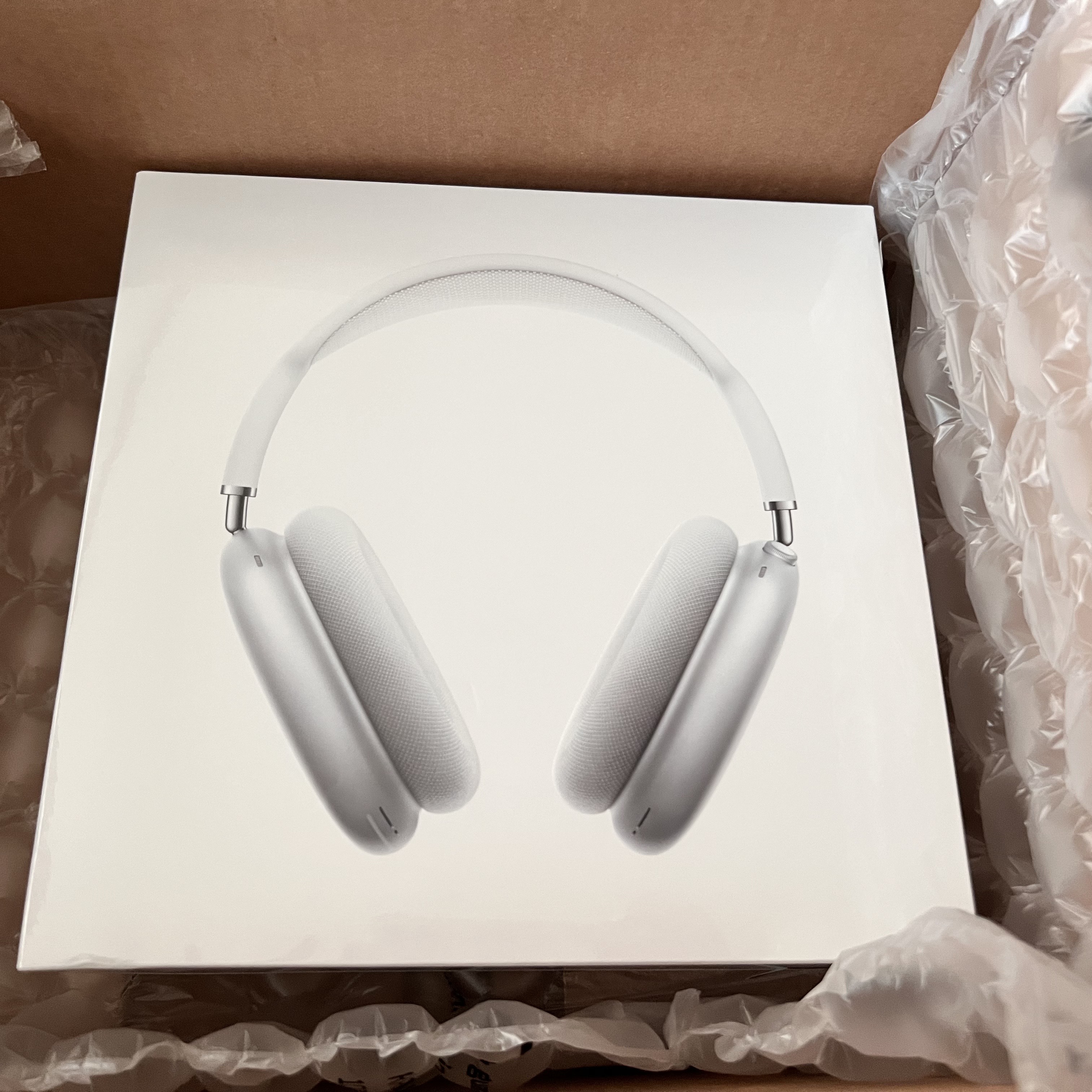 Apple AirPods Max Lightning Silver (Korean Ver.) 착용 스타일